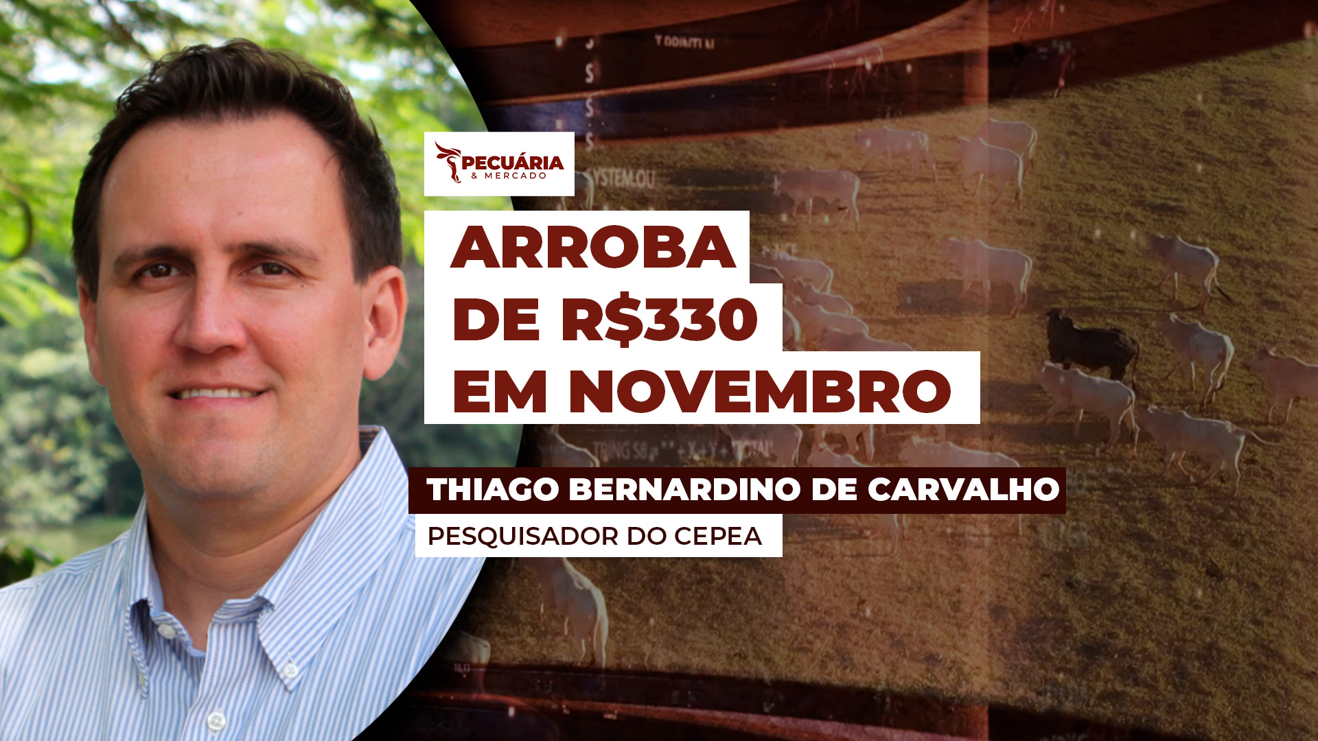 Mercado futuro já aponta para arroba de R$330 em novembro e cenário é favorável para alta nas cotações, diz Cepea Mercado futuro já aponta para arroba de R$330 em novembro e cenário é favorável para alta nas cotações, diz Cepea