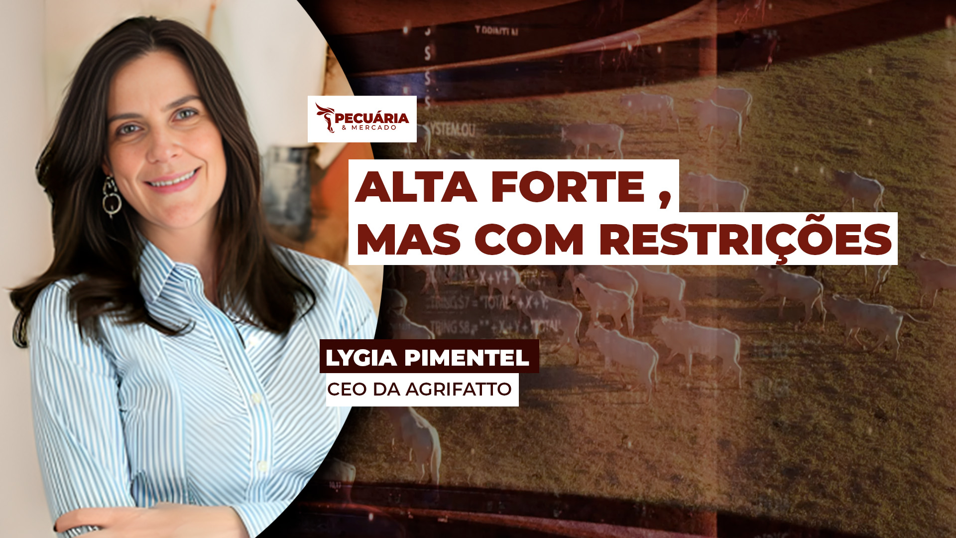 Mercado do boi pode buscar patamares acima de R$330/@ até o final do ano, mas depois, movimento tende a ser mais lento que o esperado