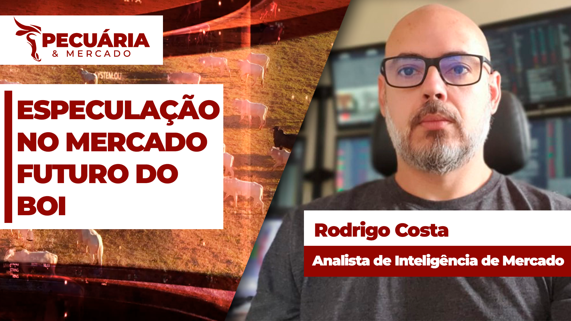 Dúvidas sobre os próximos passos da China abre espaço para especulação no mercado futuro do boi