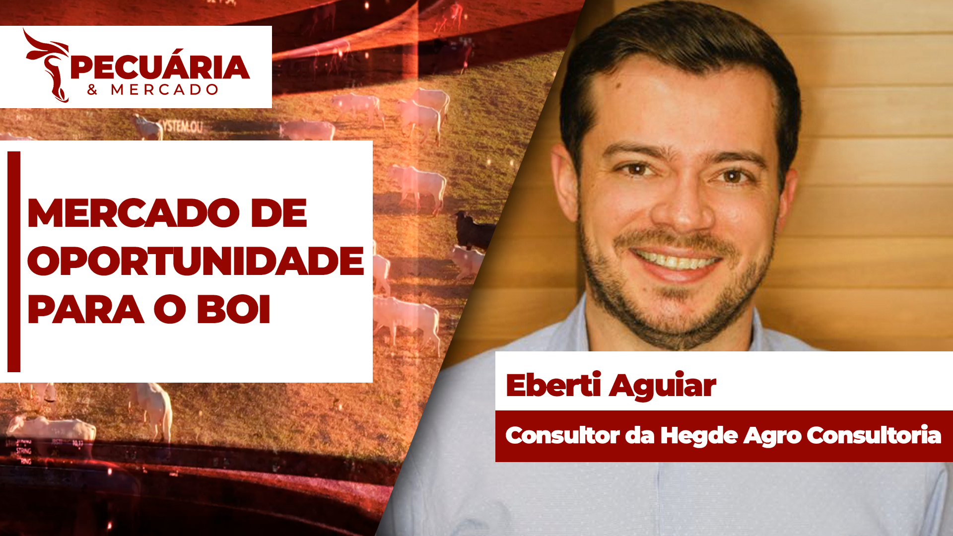 Mercado interno é firme e de oportunidades para que os pecuaristas defendam margens