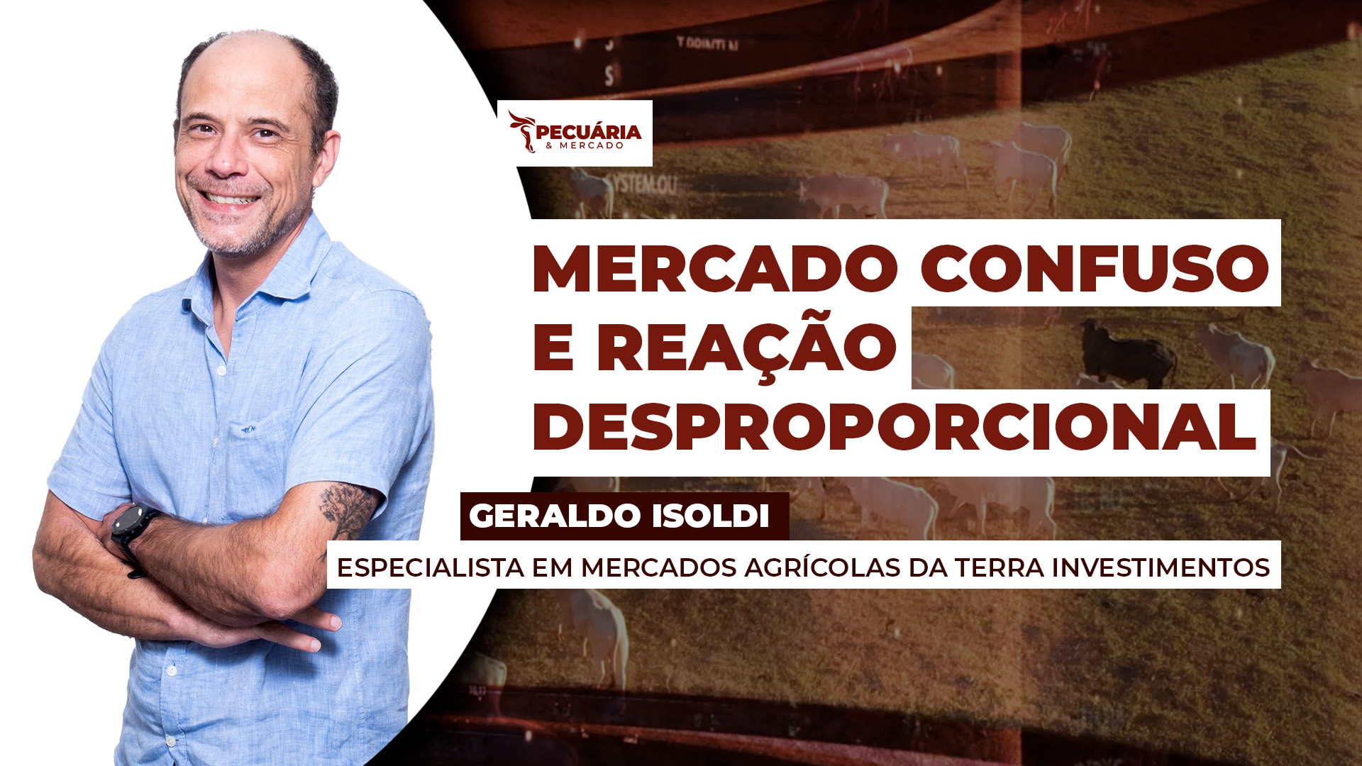 Conflito no Oriente Médio trouxe incertezas para o mercado do boi, mas fundamento seguem positivos para os preços