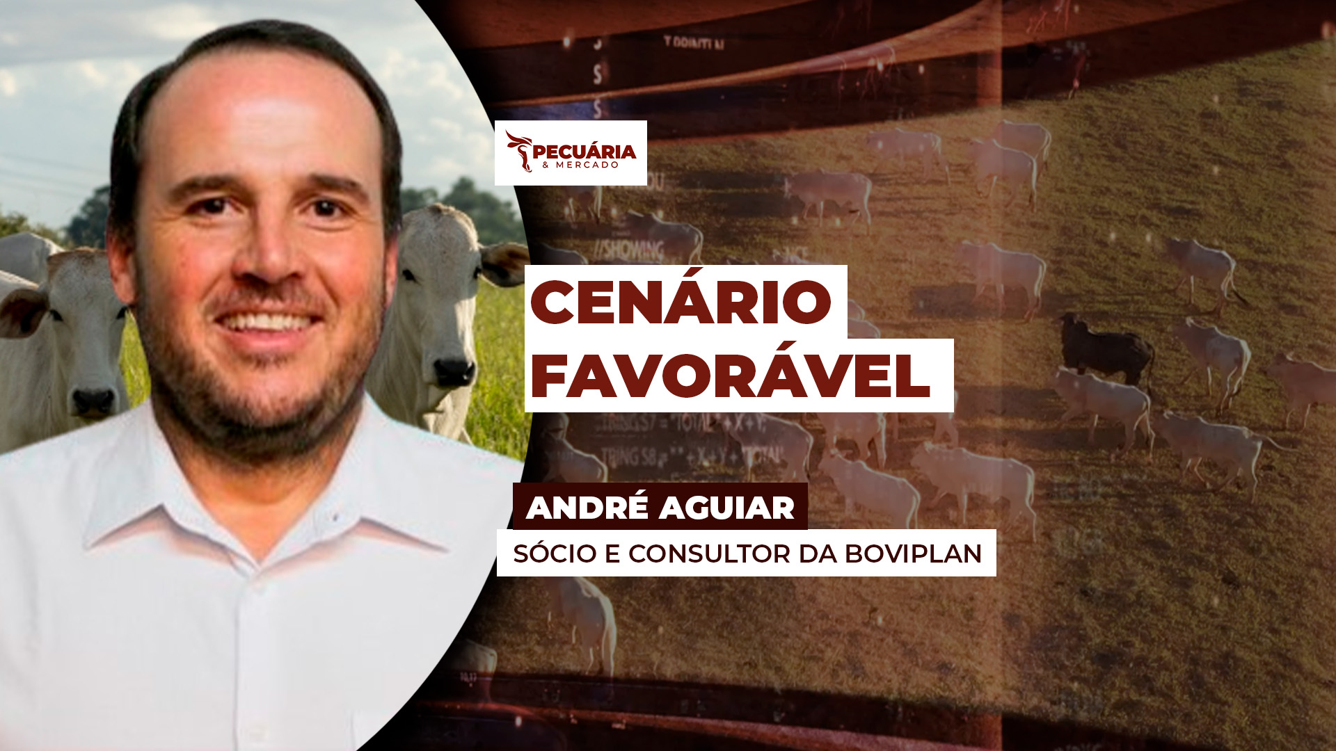 Mercado de carne mais enxuto, encurtamento das escalas dos frigoríficos e preços da arroba inferiores a 2024 dão suporte a um movimento de alta para a