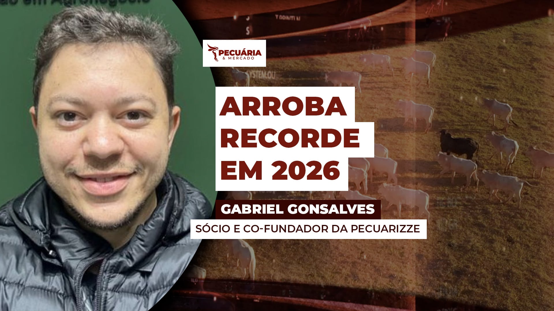 Cenários de oferta e demandas vão favorecer busca por cotações recordes para arroba em 2026