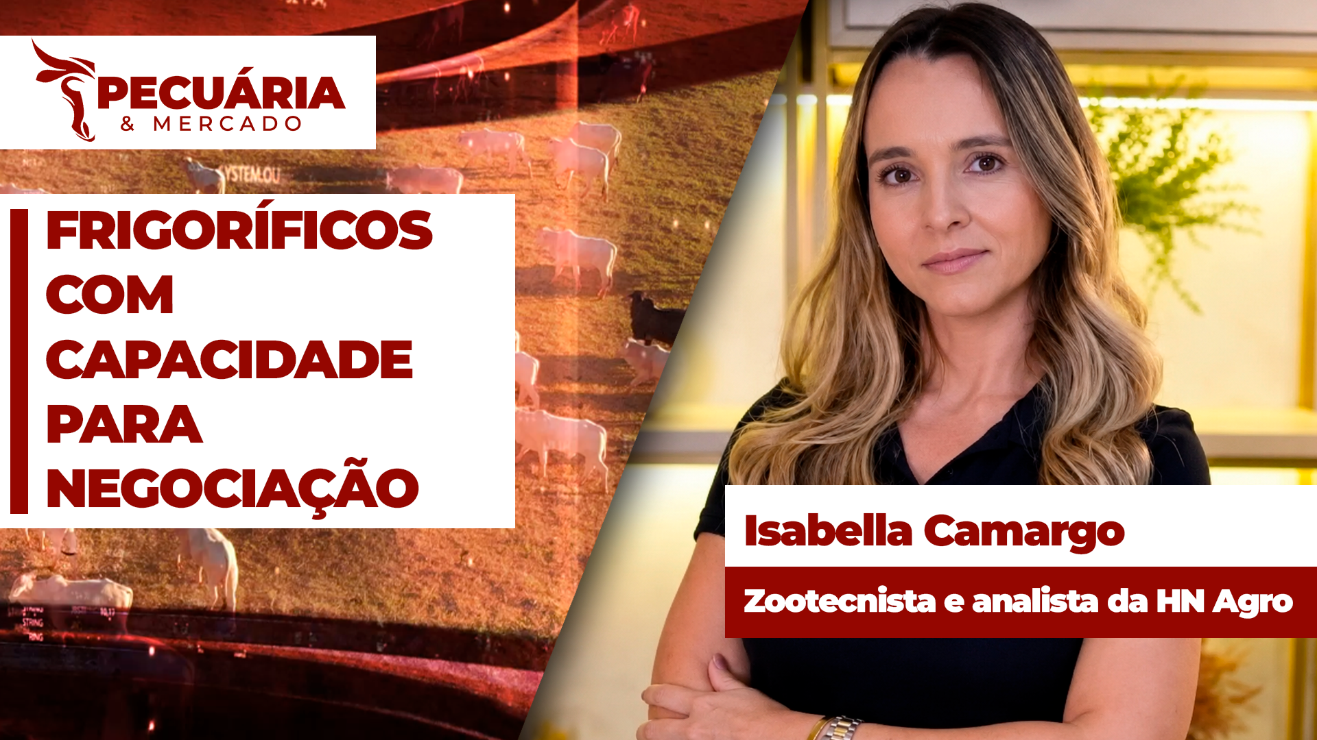 Margens de frigoríficos são positivas e há capacidade para negociação de preços maiores no mercado do boi
