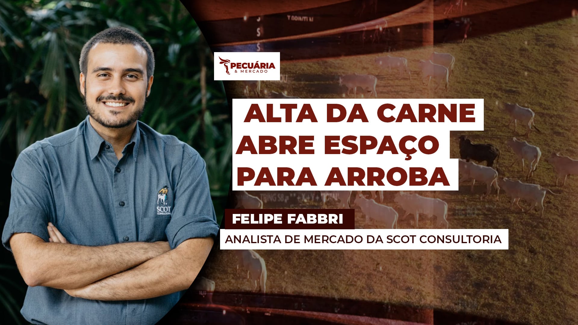 Semana começa com valorização da carne no atacado , o que pode abrir espaço para novas altas da arroba