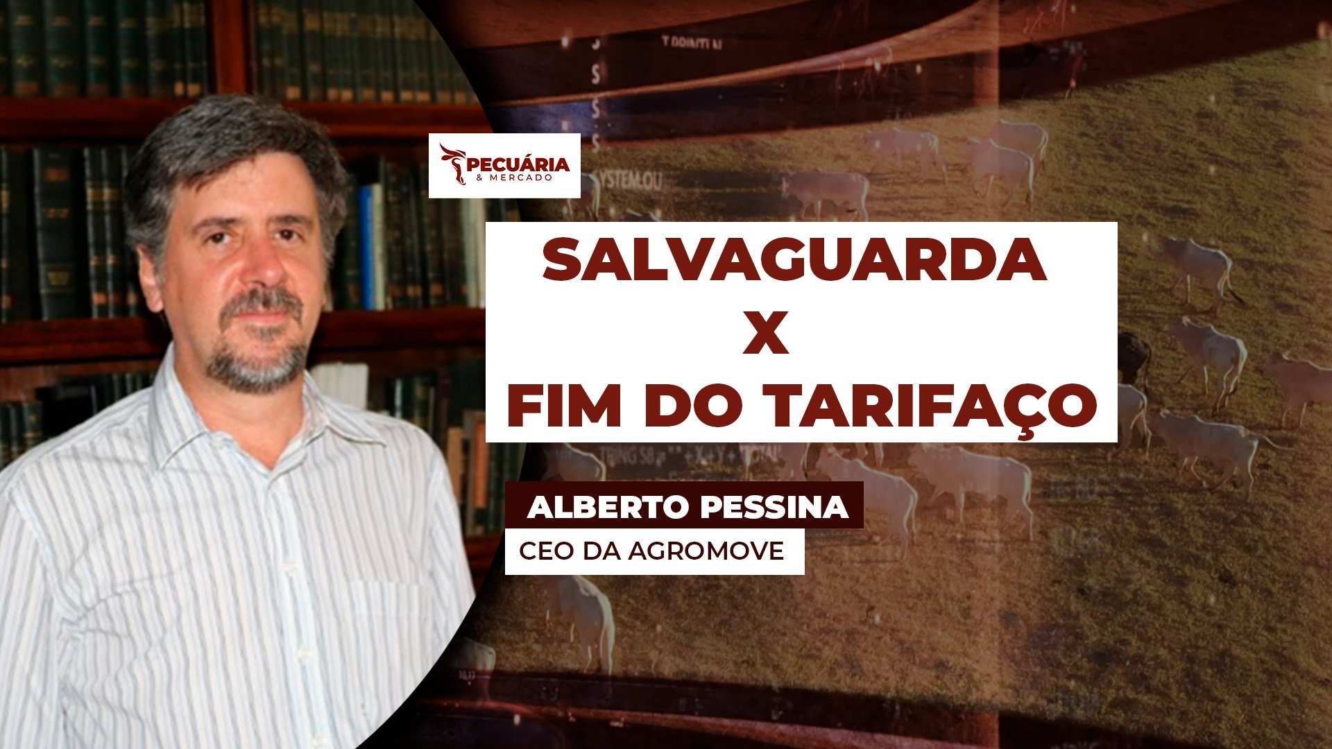 Como a salvaguarda da China e o recuo no tarifaço dos EUA podem impactar arroba do boi Como a salvaguarda da China e o recuo no tarifaço dos EUA podem impactar arroba do boi