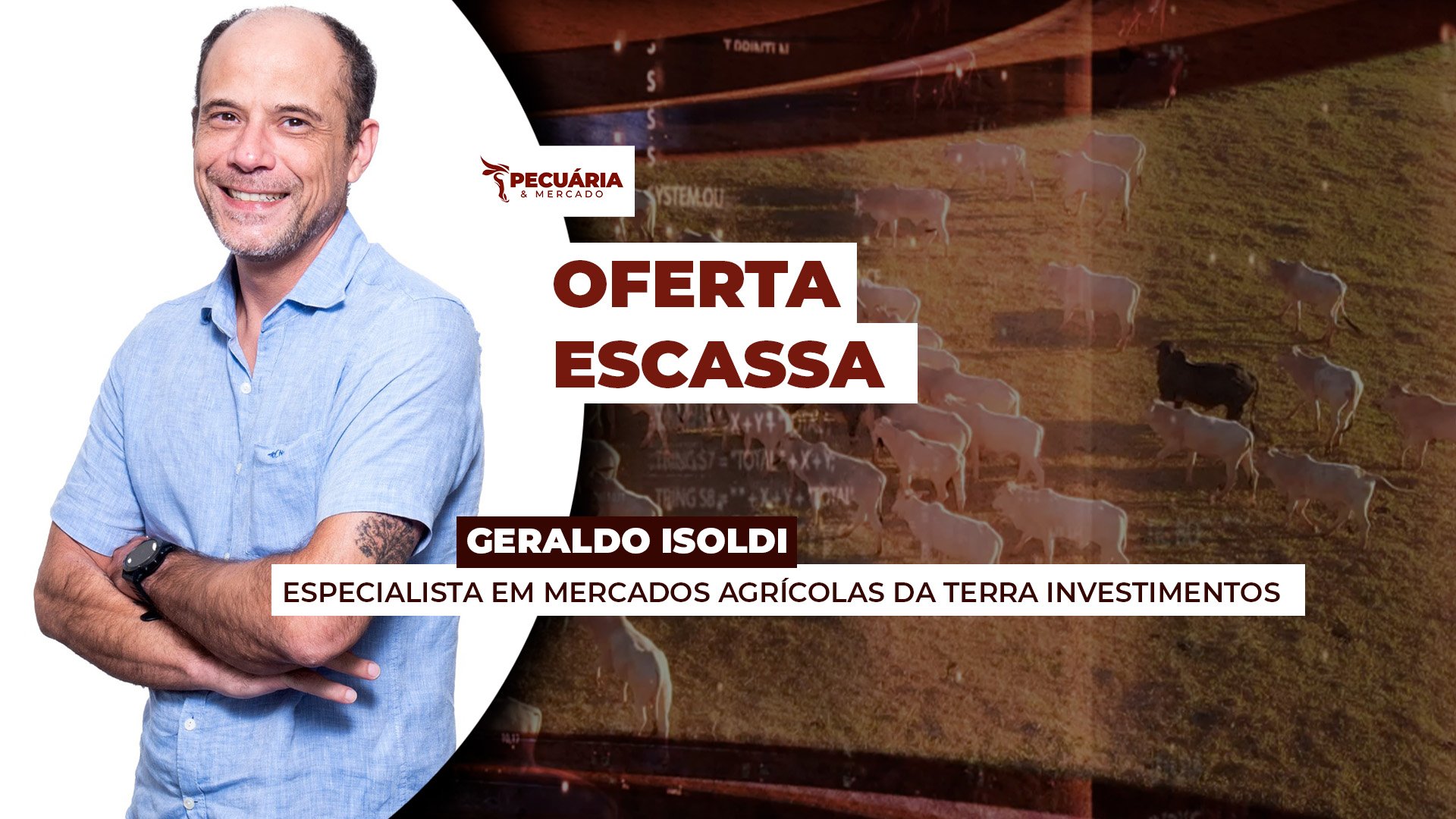 A oferta de animais está menor com redução no volume de bois prontos e retenção de pecuaristas A oferta de animais está menor com redução no volume de bois prontos e retenção de pecuaristas