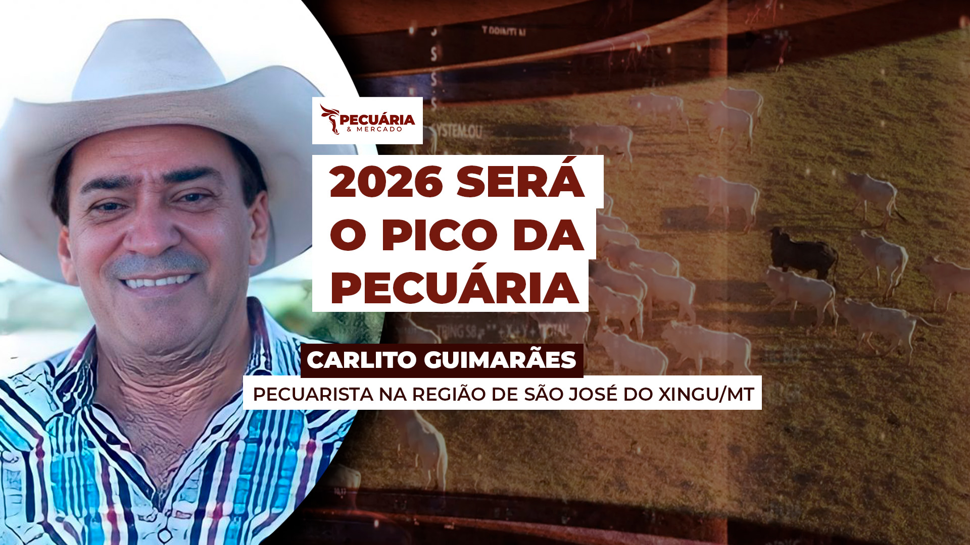 Arroba do boi pode chegar a US$ 70 até 2026, projeta Carlito Guimarães Arroba do boi pode chegar a US$ 70 até 2026, projeta Carlito Guimarães