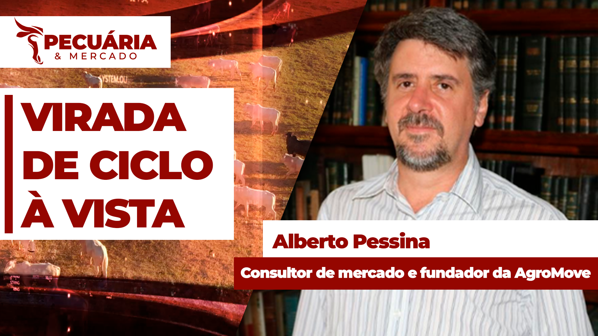 Confirmação de menor abate de fêmeas no início do segundo semestre  sinaliza para a tão esperada virada do ciclo pecuário episode artwork