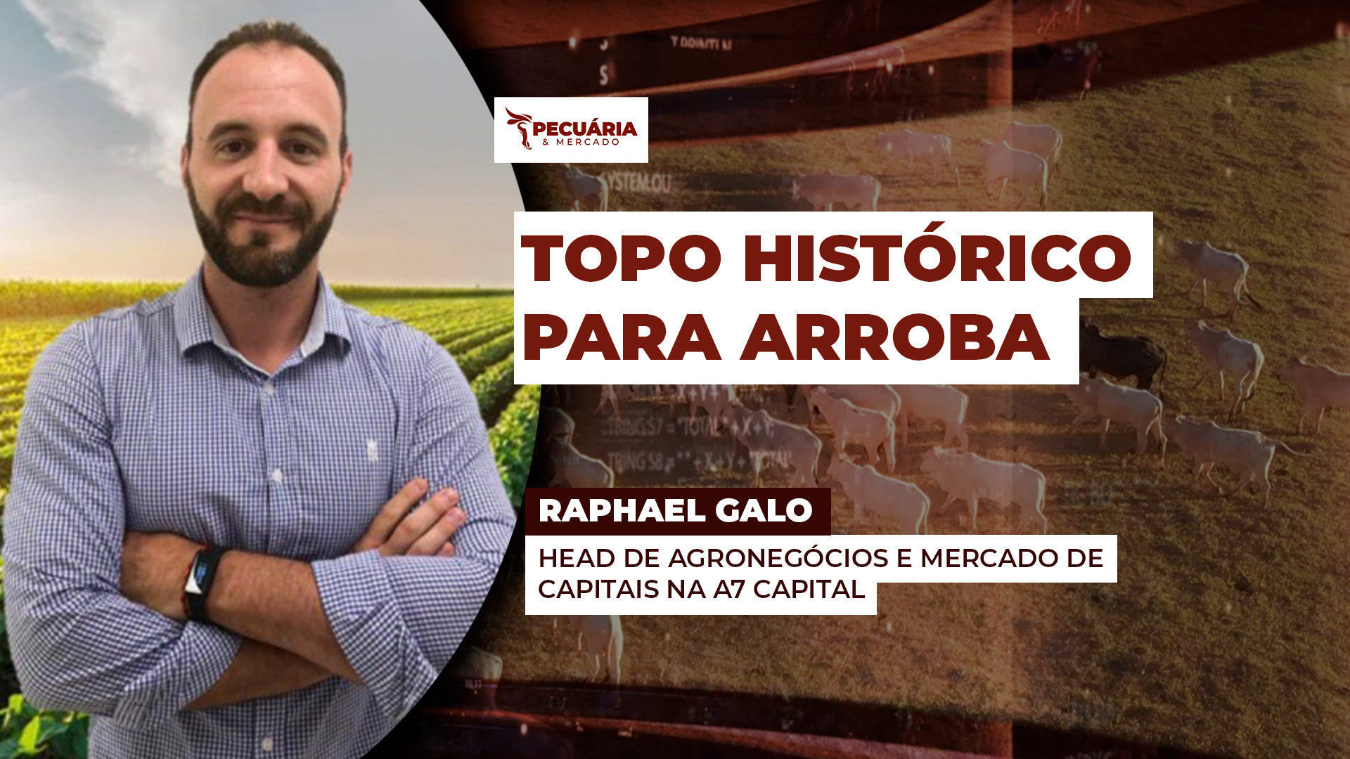 Topo histórico de R$352, 65/@  do Cepea deve ser batido nos próximos dias, mas atenção para o ritmo das altas