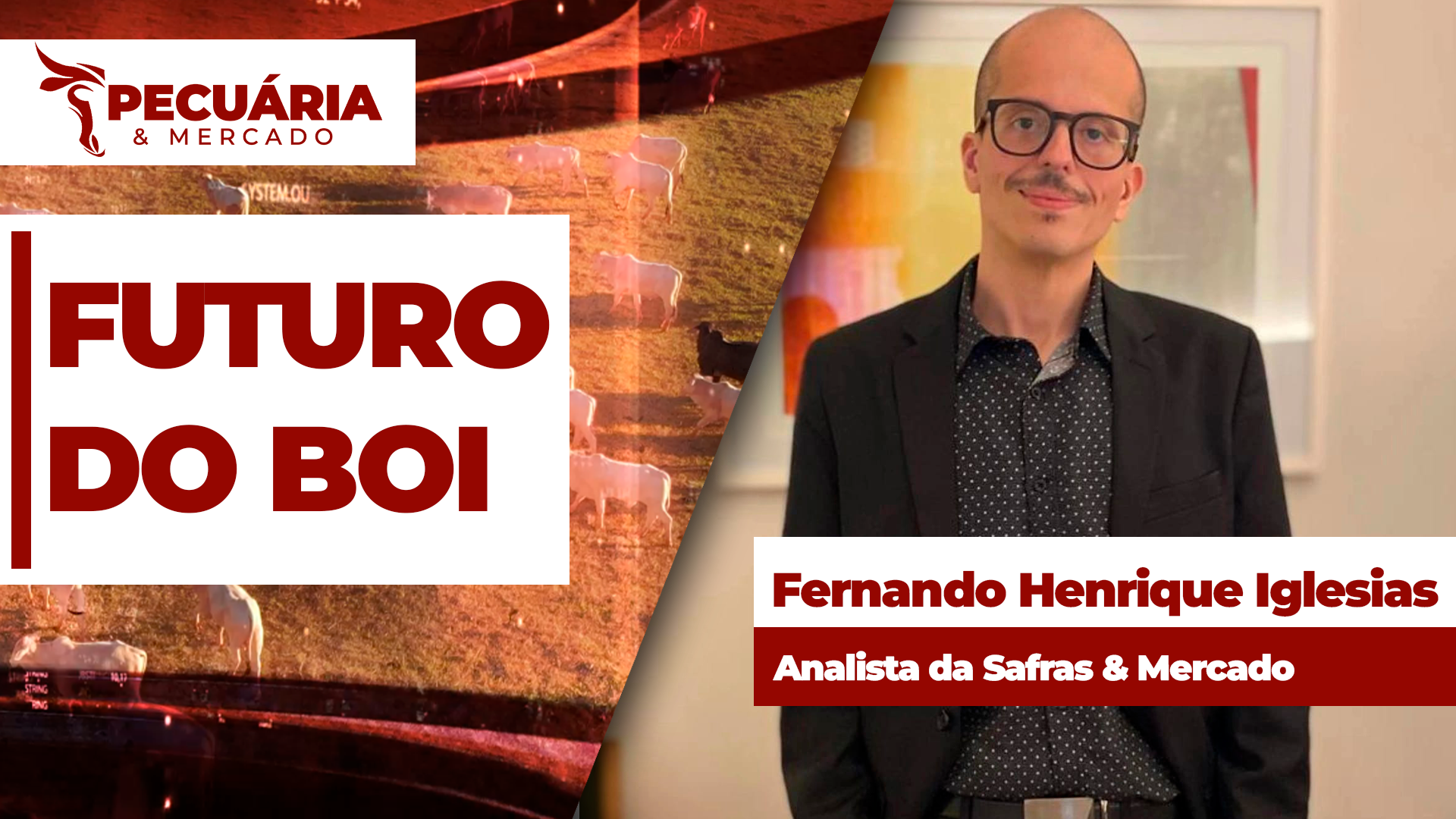 Transição entre terceiro e quarto trimestre do ano deve ser de mercado volátil para o boi episode artwork