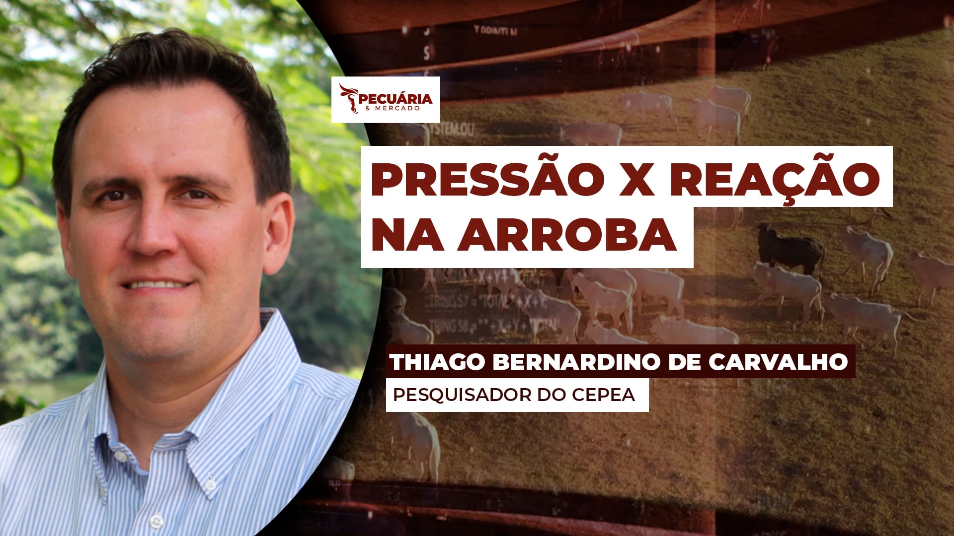 Futuro do boi na B3 reage e movimento deve chegar ao mercado físico em breve