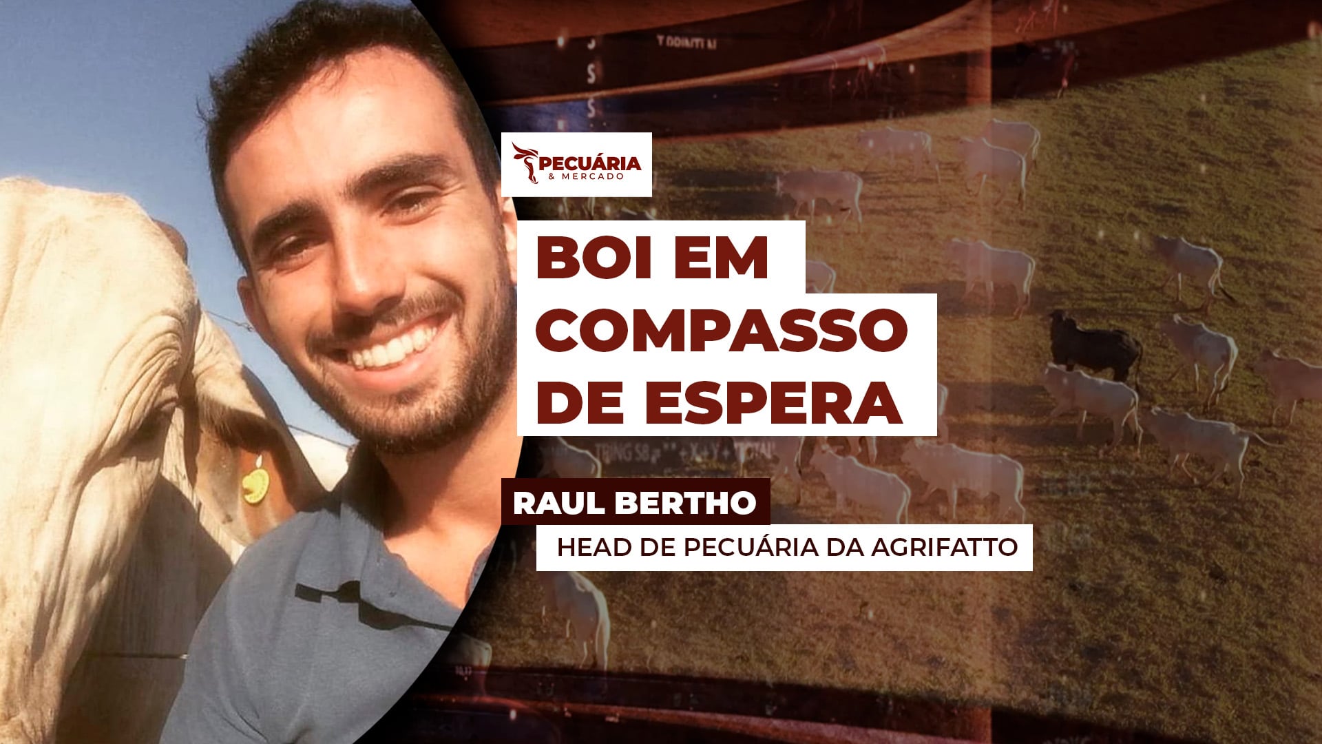 Dezembro começa com boas expectativas para arroba do boi por conta das demandas