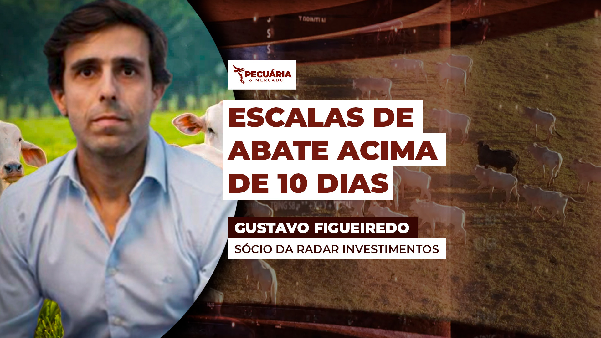 Feriados reduzem dias de abate, empurram escalas para janeiro e mantêm média nacional acima de 10 dias úteis; Goiás foge à regra.