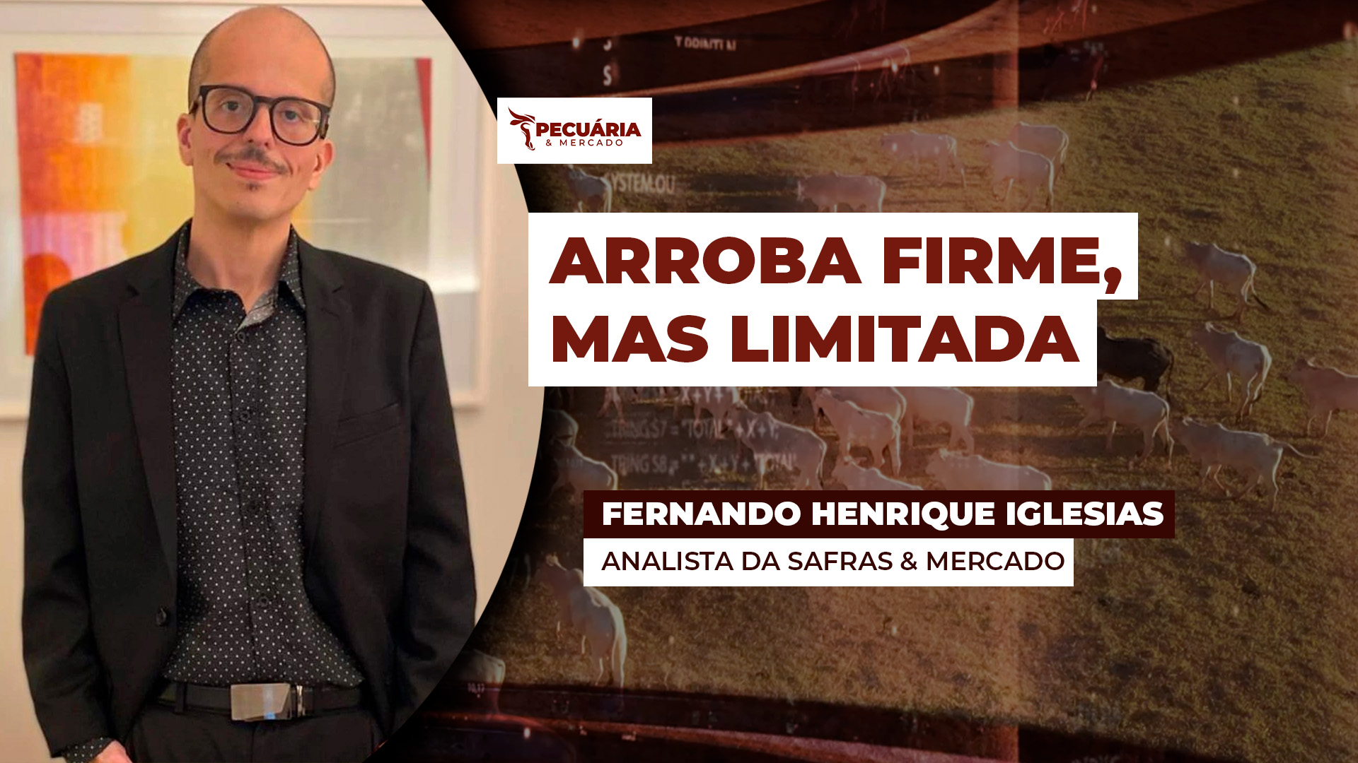 Março começa com arroba do boi firme, mas com altas limitadas e um dos gargalos pode ser a demanda interna