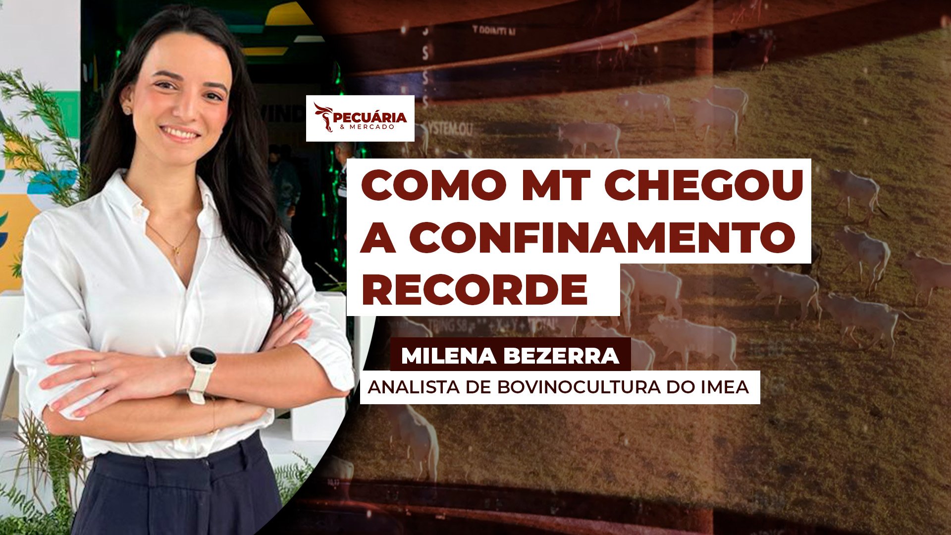 MT registra confinamento recorde em 2025 apesar de recuo no número de pecuaristas confinadores