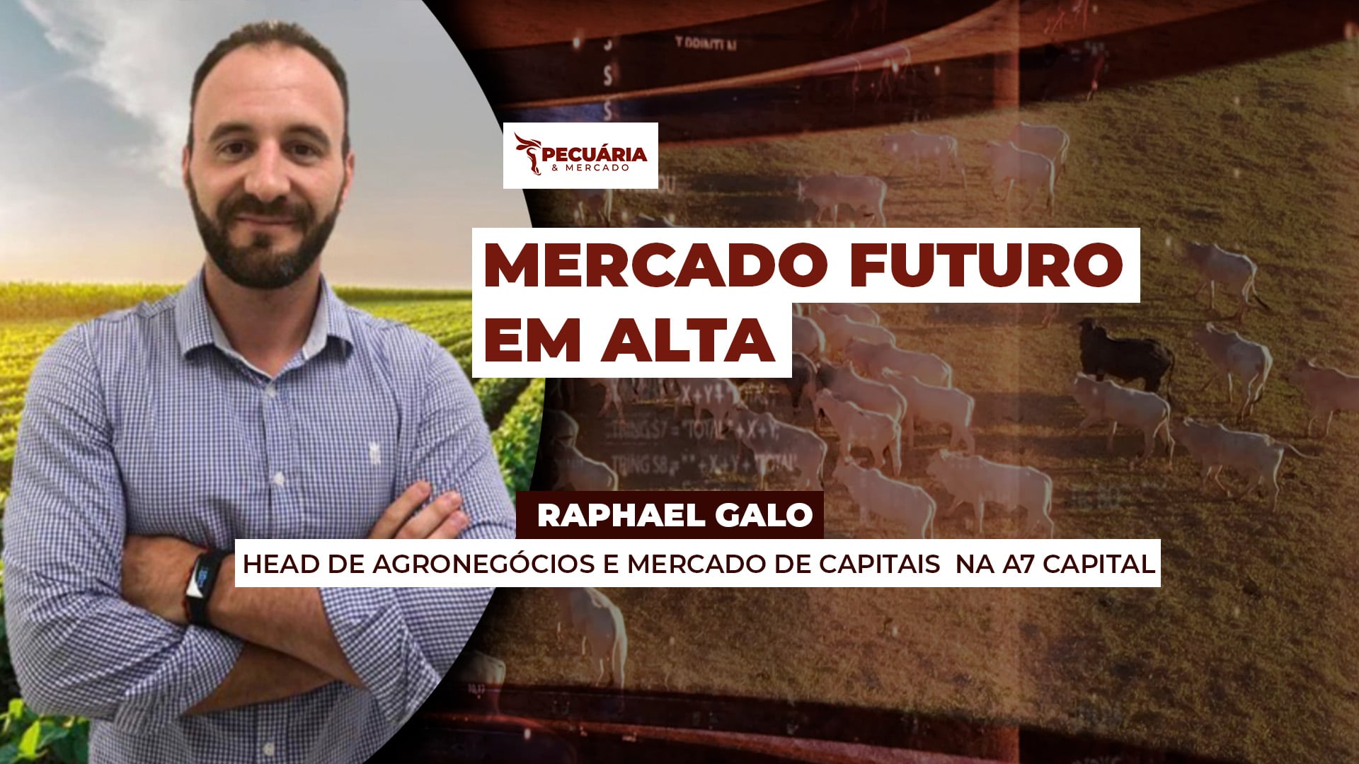 Mercado futuro do boi em alta sinaliza mudança de preços para arroba no físico