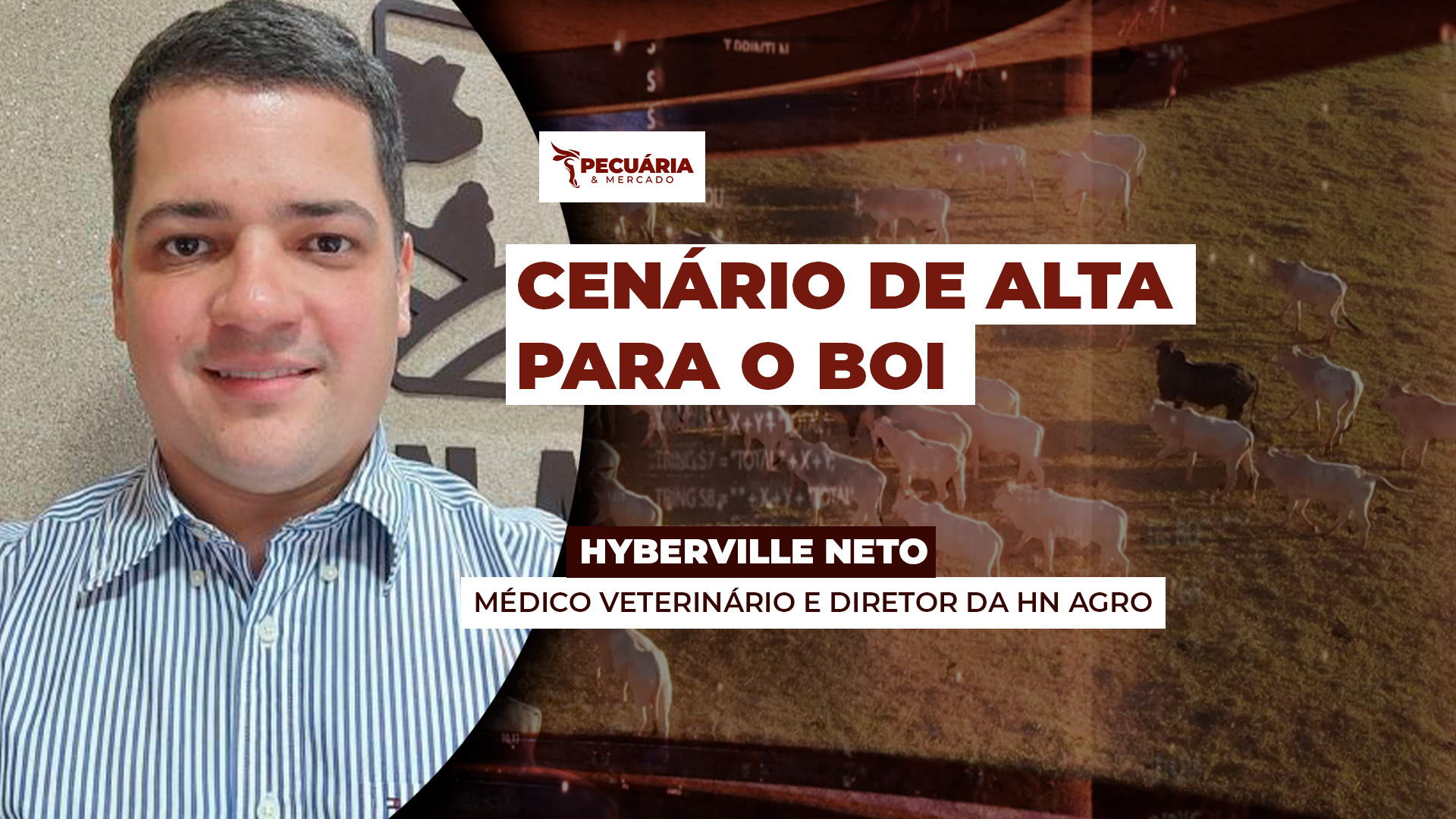 Semana encerra com arroba do boi em alta e movimento deve seguir até o carnaval