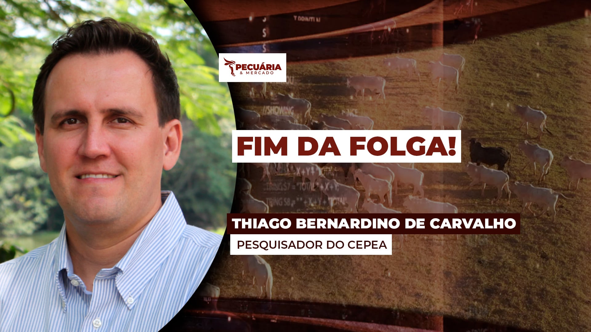 Retomada dos negócios traz liquidez para o mercado do boi e mais clareza para cotação da arroba Retomada dos negócios traz liquidez para o mercado do boi e mais clareza para cotação da arroba