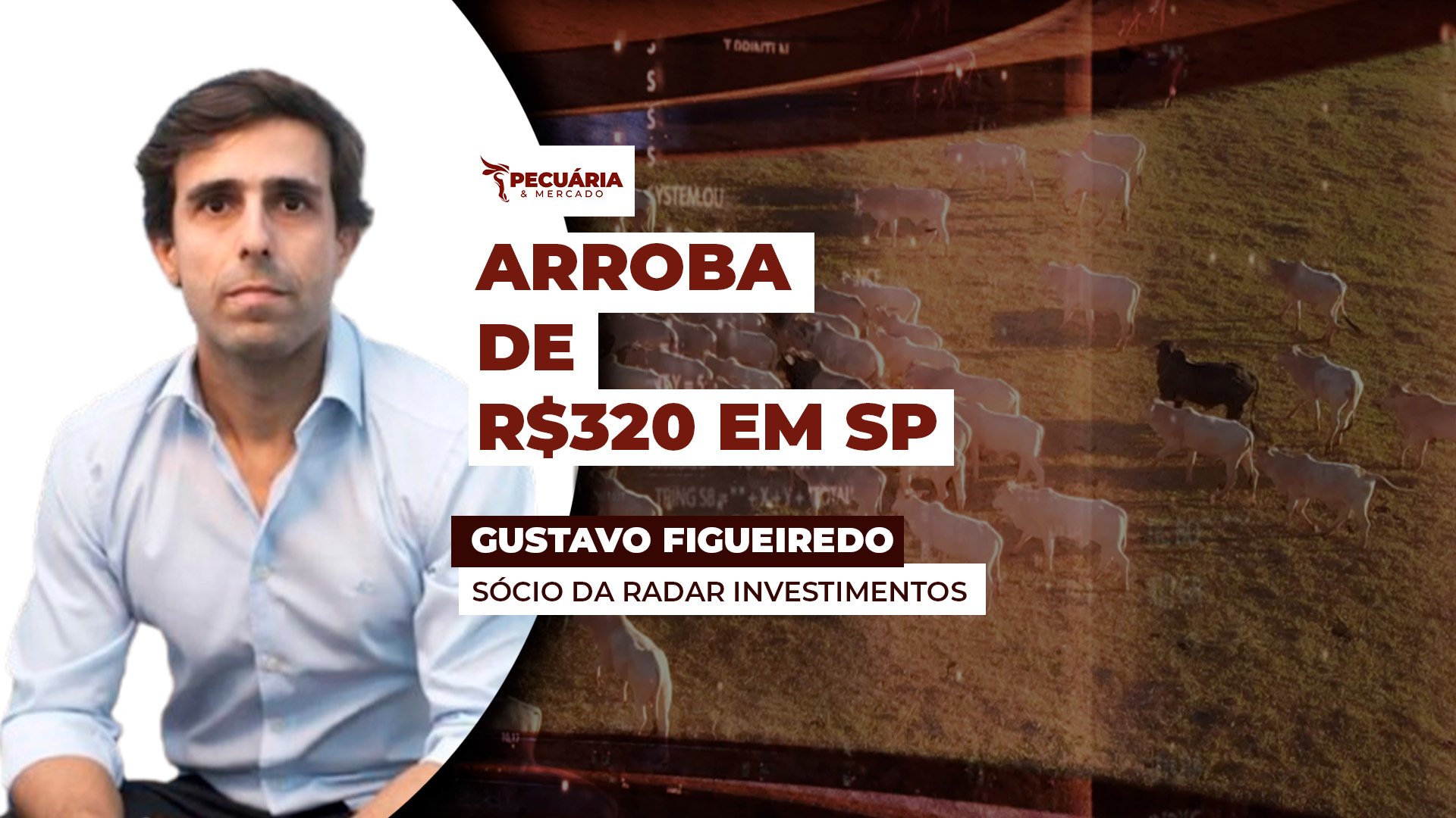 Arroba do boi em SP já é negociada a R$320 com pecuaristas conseguindo até R$325 em casos pontuais