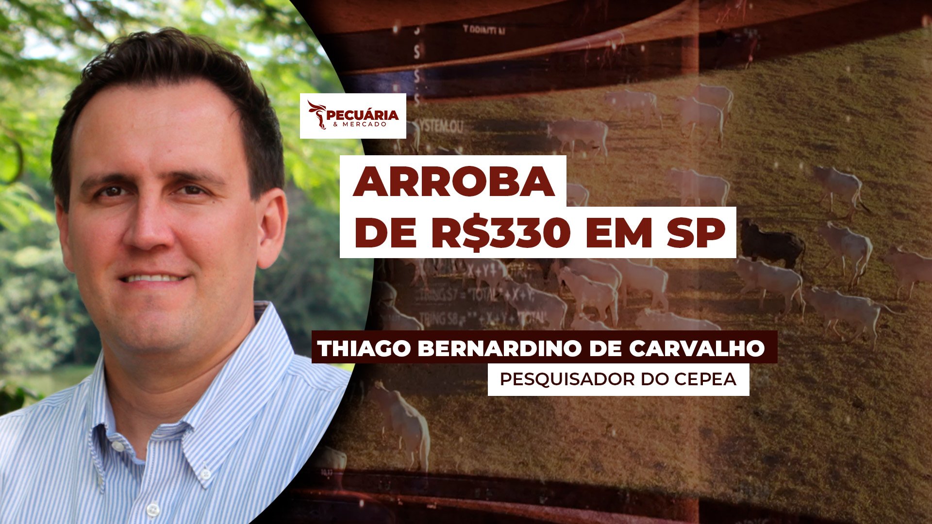 Arroba de R$330 vira alvo de pecuaristas em SP e negócios abaixo desse patamar ficam mais limitados