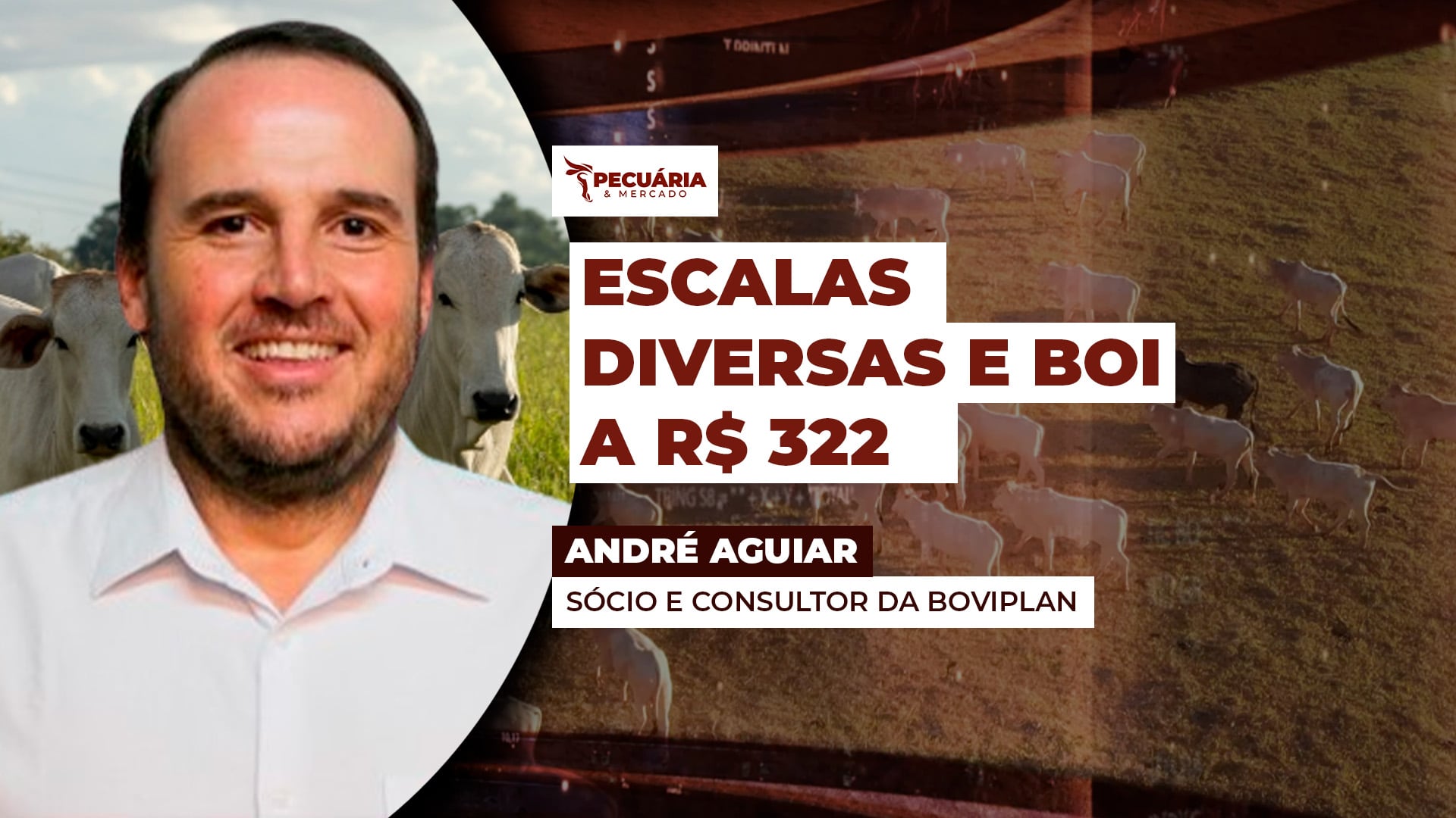 Indústrias frigoríficas operam com escalas desuniformes enquanto boi gordo gira em torno de R$ 322/@ Indústrias frigoríficas operam com escalas desuniformes enquanto boi gordo gira em torno de R$ 322/@