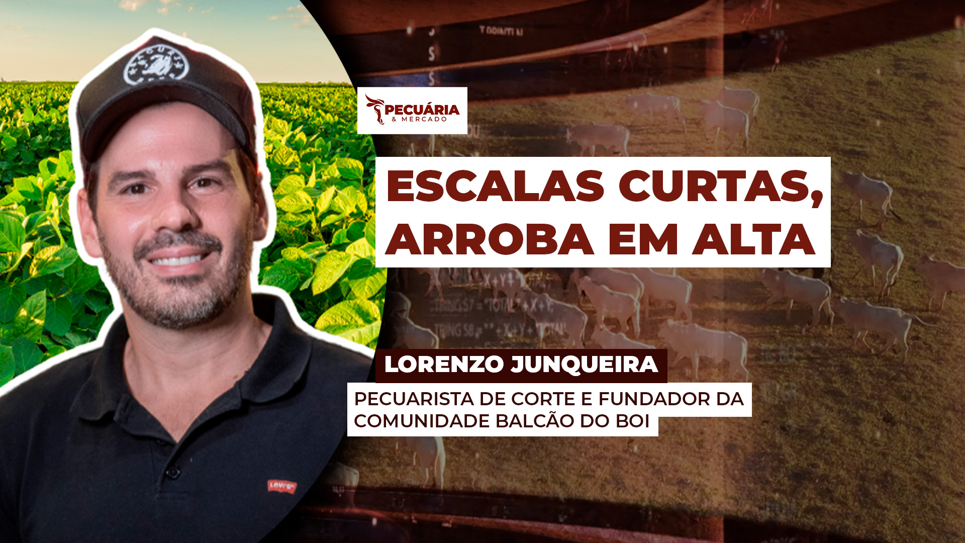 Alta da arroba é impulsionada pela redução da oferta e cenário de escassez deve persistir