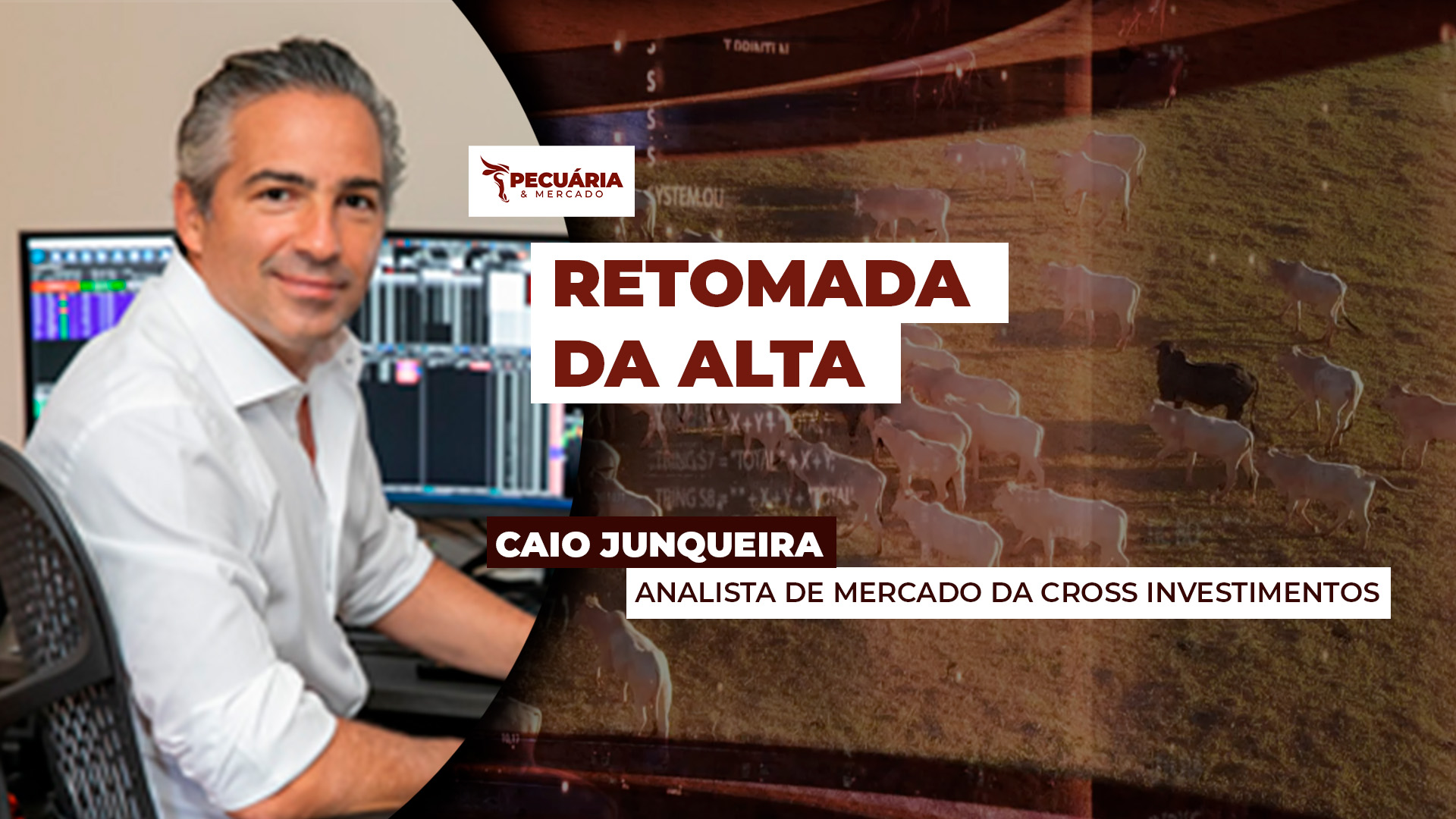 Boi gordo em SP está pronto para retomar trajetória de alta