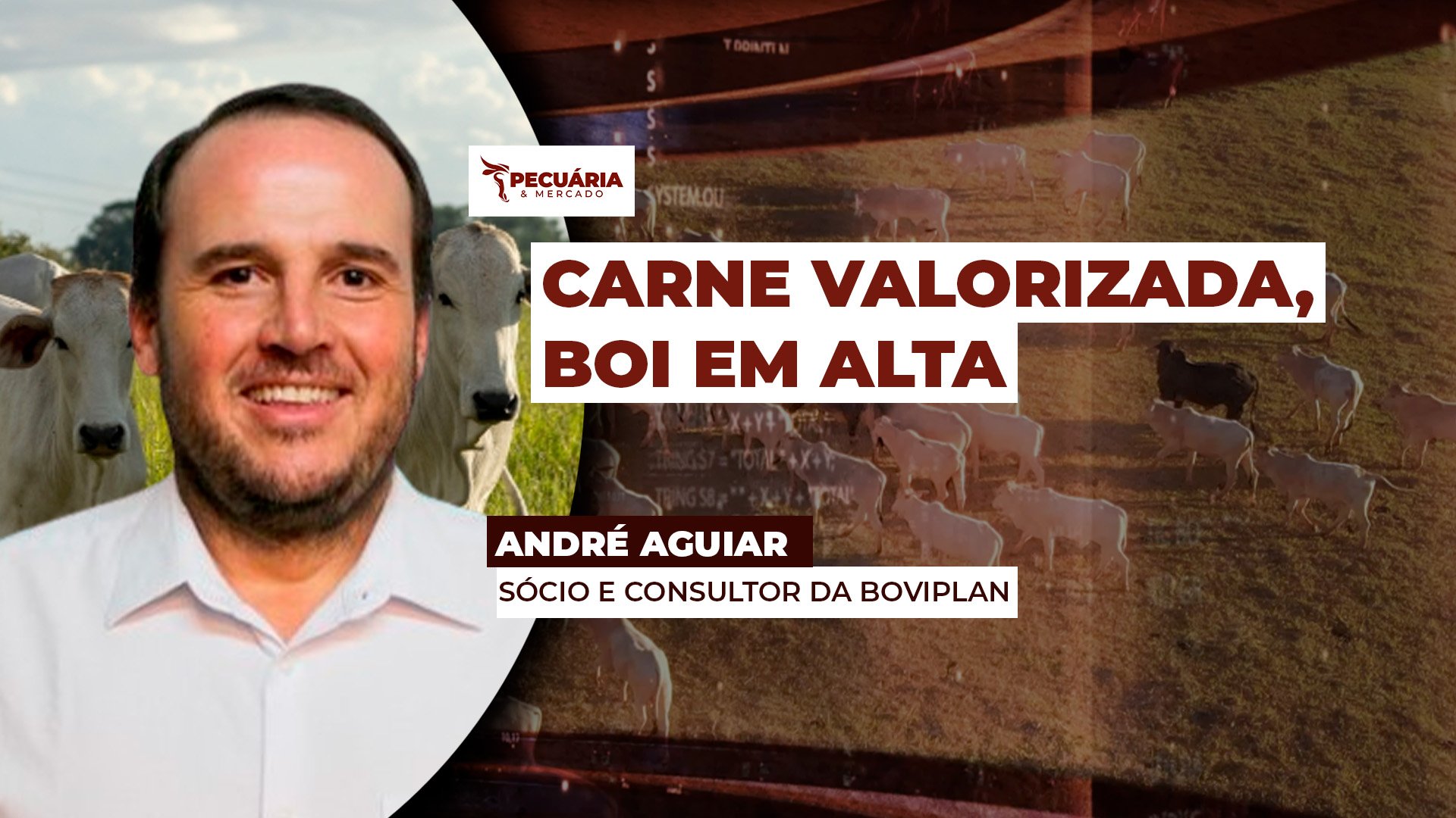Escalas mais curtas e carne valorizada no atacado criam ambiente de alta para arroba