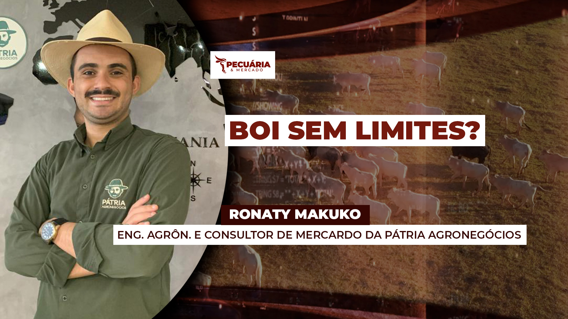Arroba do boi  tem potencial de buscar os R$340 em SP,  alta deve se intensificar no interior