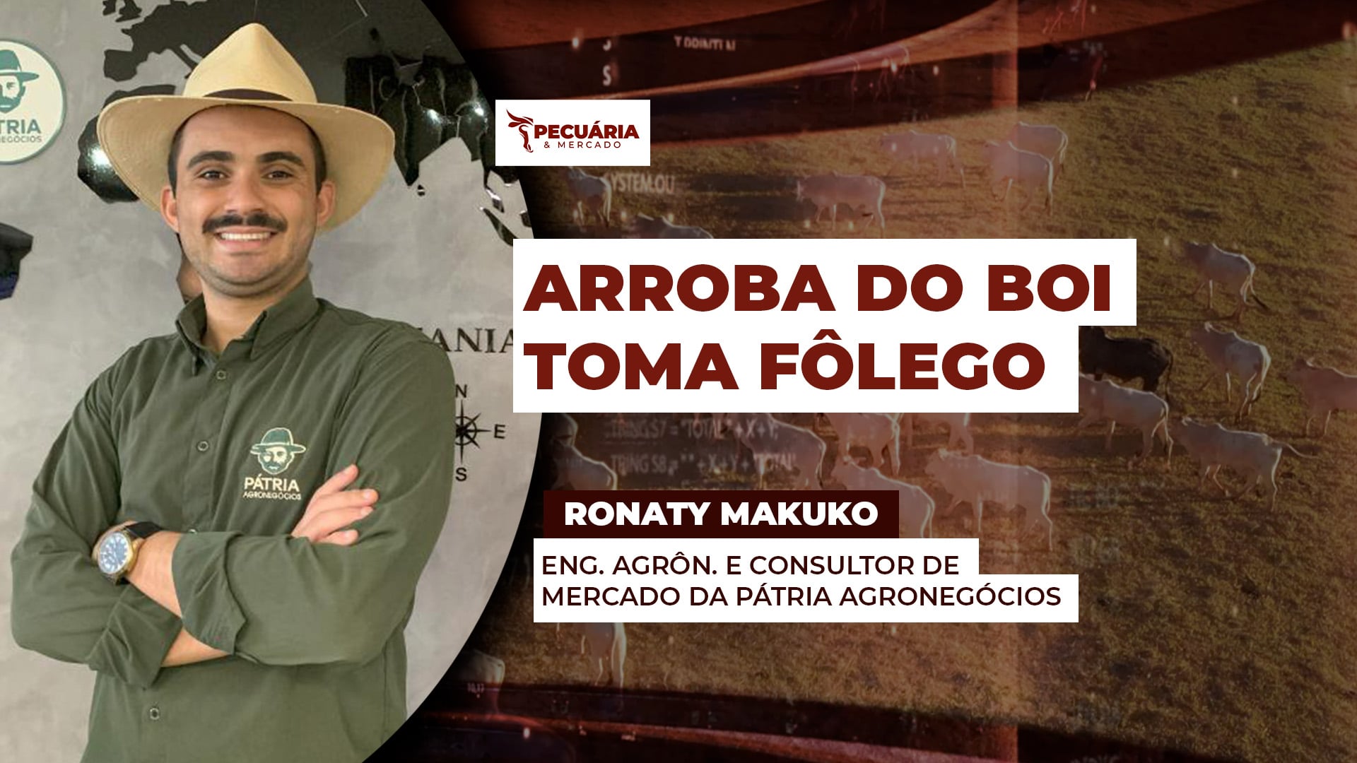 Arroba do boi ainda tem potencial de alta , apesar da recente estabilização dos preços