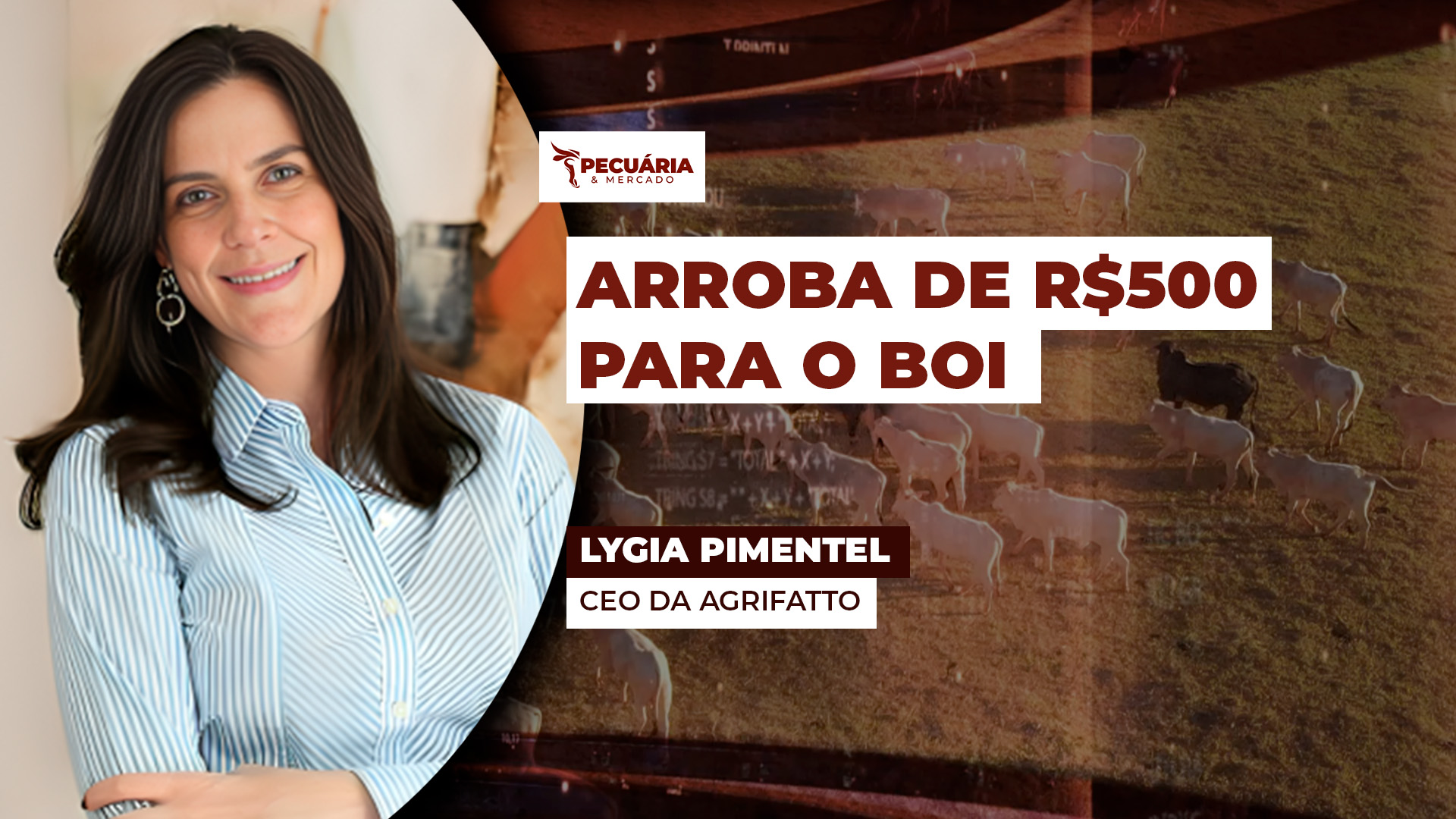 Agrifatto projeta arroba do boi de até  R$500  dentro do novo ciclo pecuário que está começando