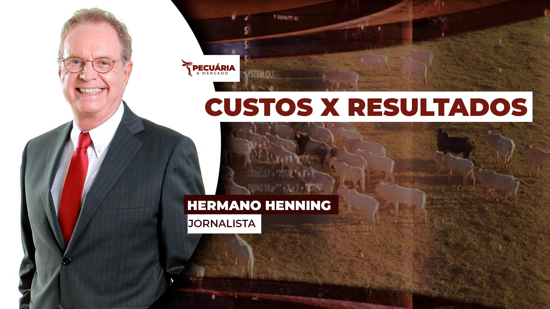 Os cuidados para se produzir um cavalo diferenciado para o mercado