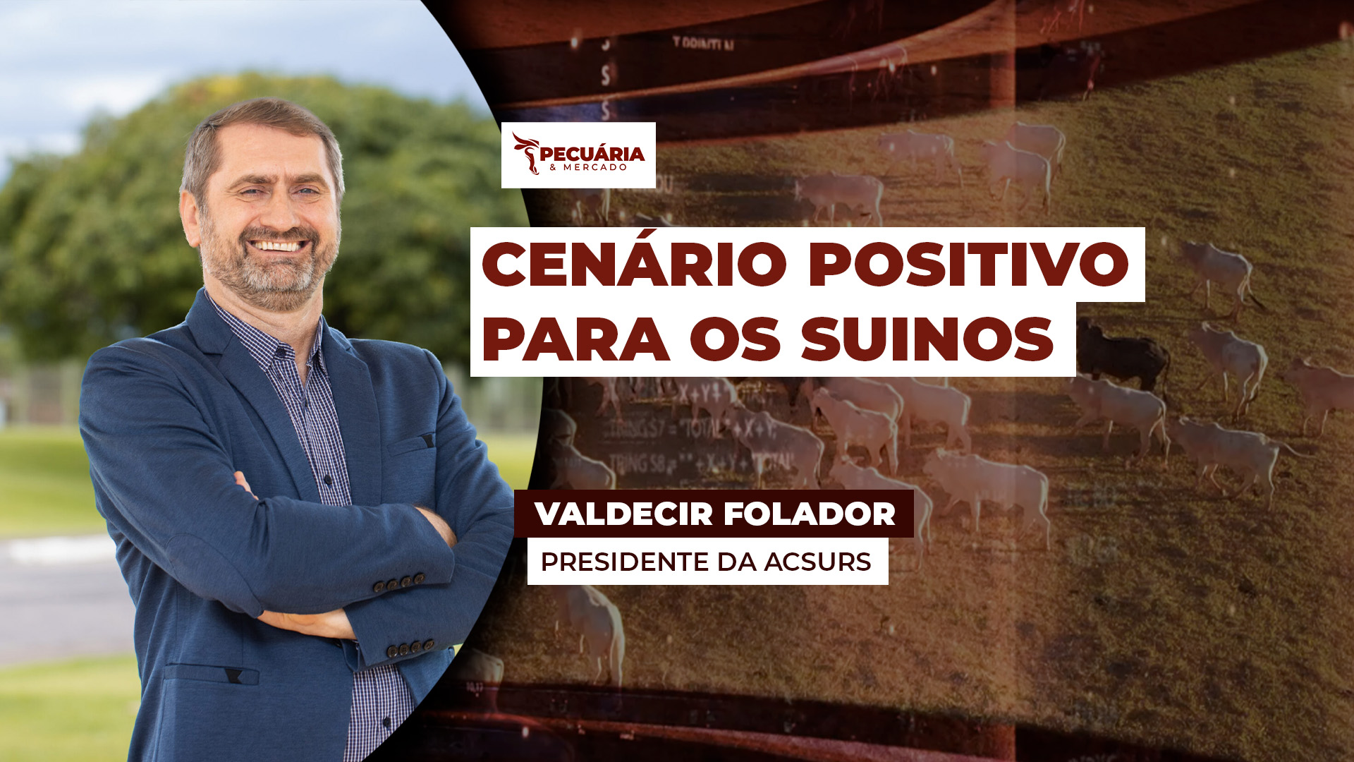 Suinocultura no RS inicia o ano com ritmo mais lento e leve pressão nos preços, mas cenário é positivo