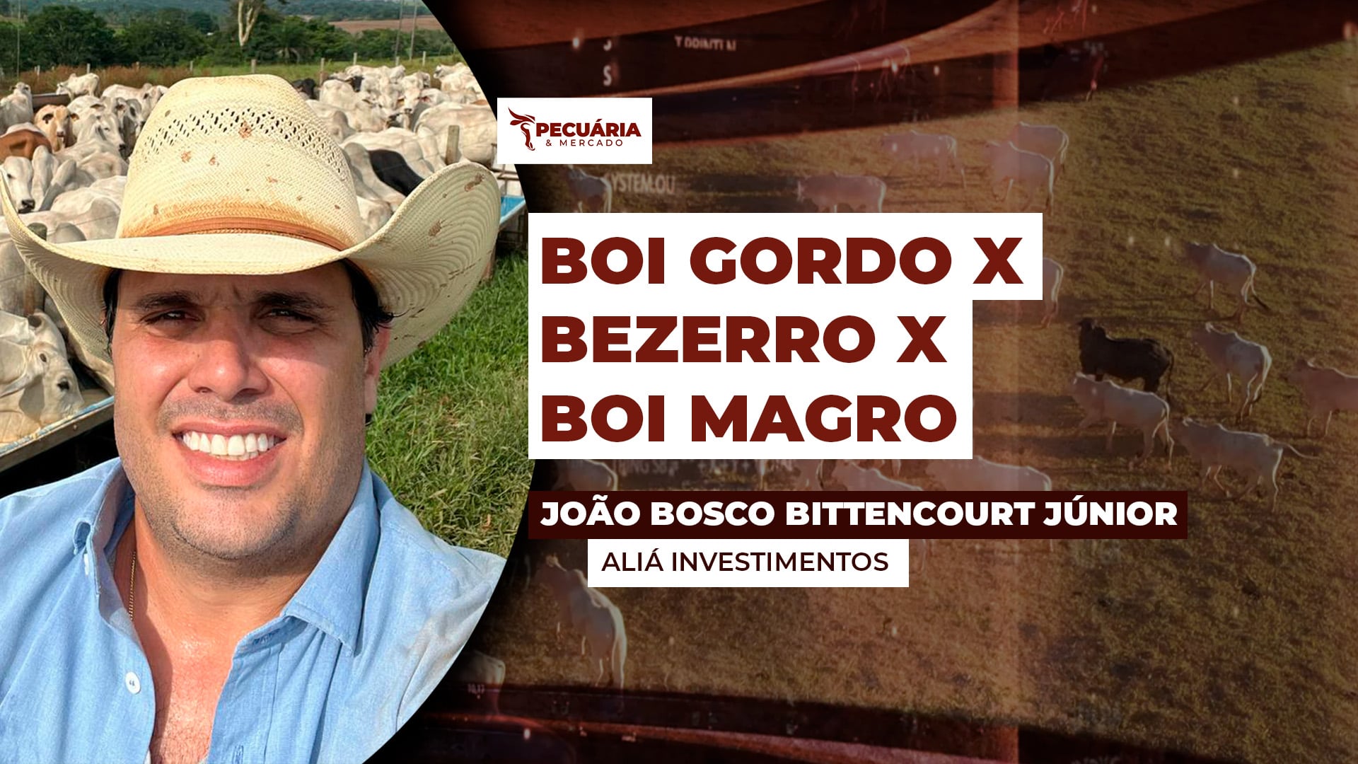 Relação de troca cada vez mais apertada requer estratégia e planejamento na hora de fazer a reposição do rebanho