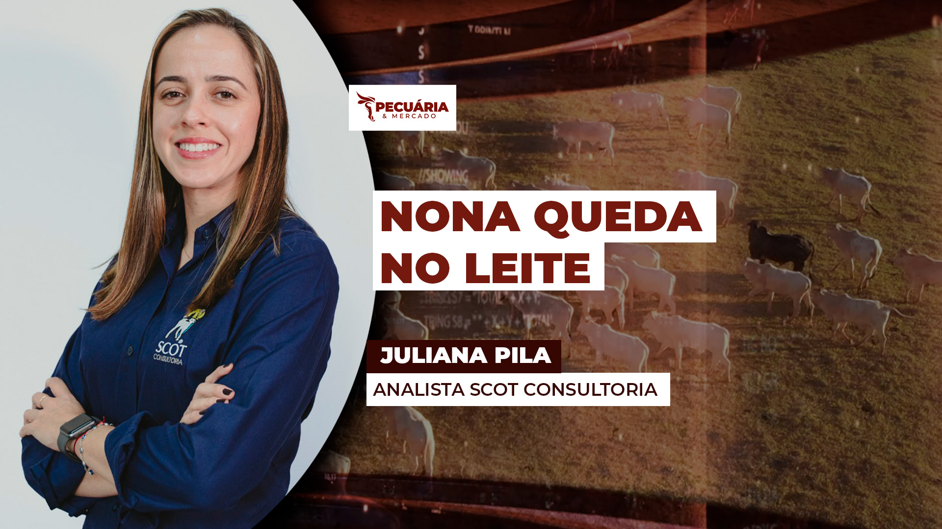 Produtor amarga nona queda seguida nos preços do leite e margens apertam ainda mais