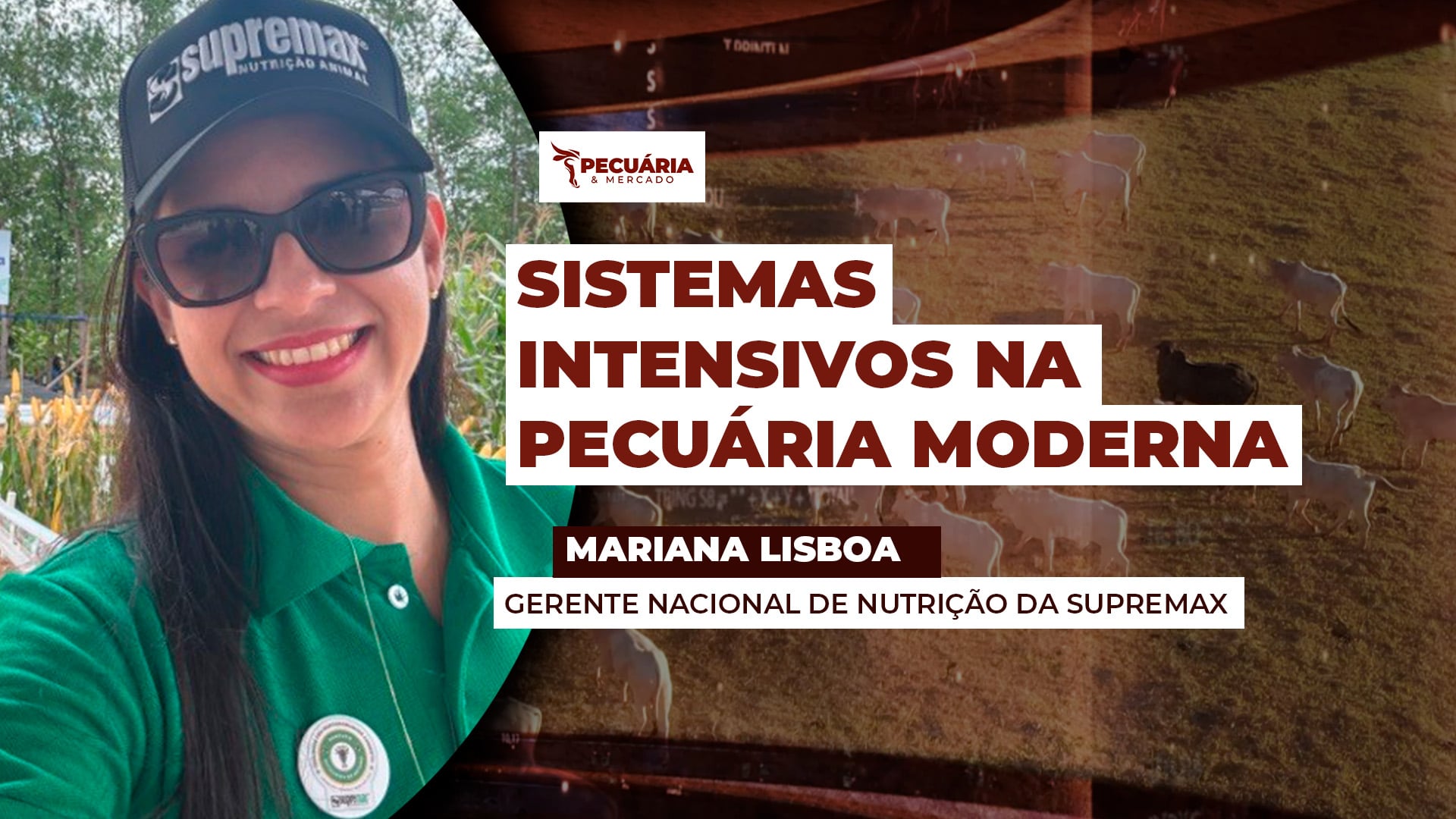 Modelos como TIP e RIP podem dobrar ou até triplicar ganhos diários de peso quando bem planejados