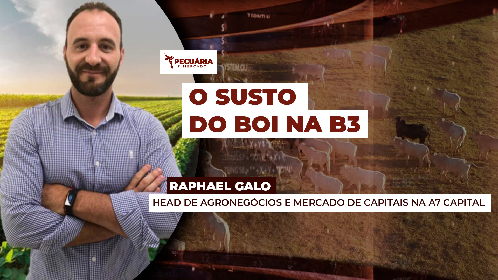 Boi na B3 se aproxima de patamar de preços que sugere retomada das altas