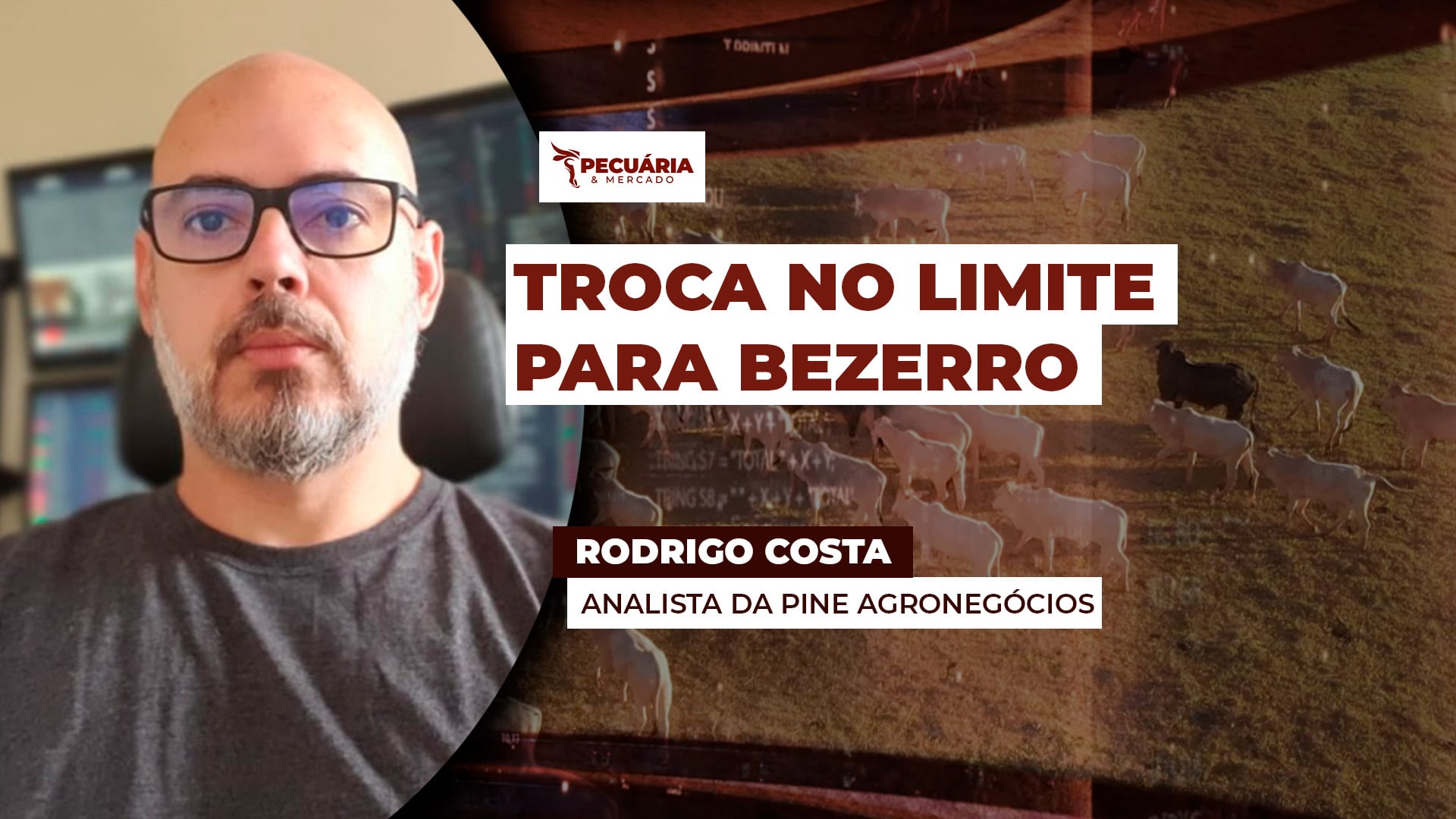 Ágio do bezerro já se aproxima dos 30%, ponto crítico para reposição do rebanho; pecuaristas devem buscar oportunidades