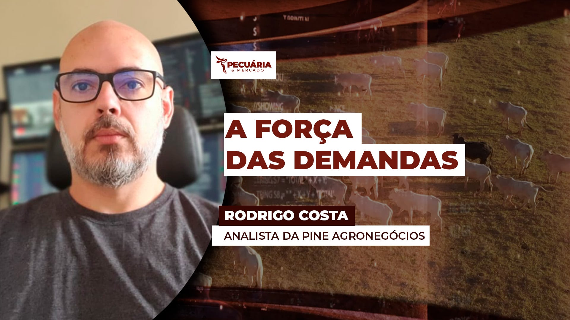 A importância das demandas, interna e externa, na formação de preços da arroba do boi A importância das demandas, interna e externa, na formação de preços da arroba do boi