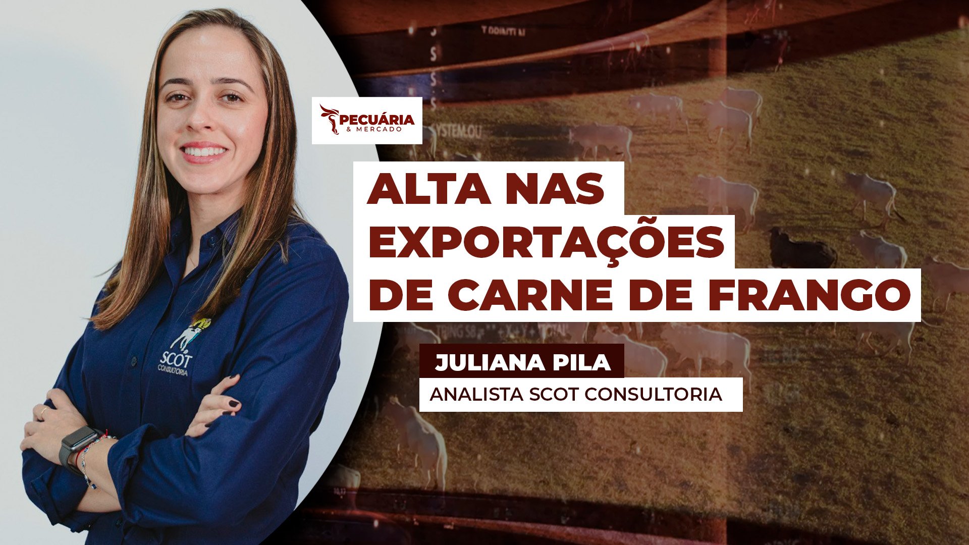 Demanda firme nos principais mercados internacionais deve impulsionar as exportações de carne de frango nesta reta final de 2025