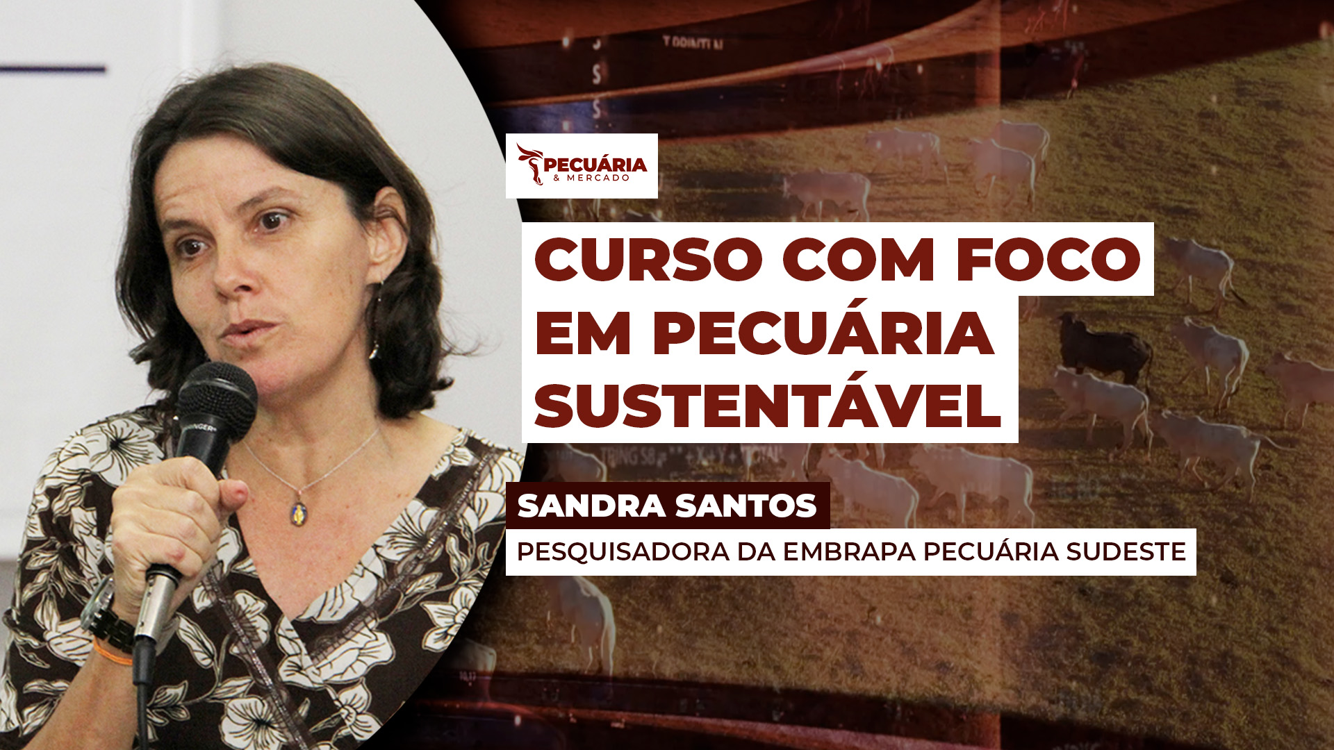 Embrapa lança curso sobre produção sustentável em pastagens para qualificar sistemas pecuários no país