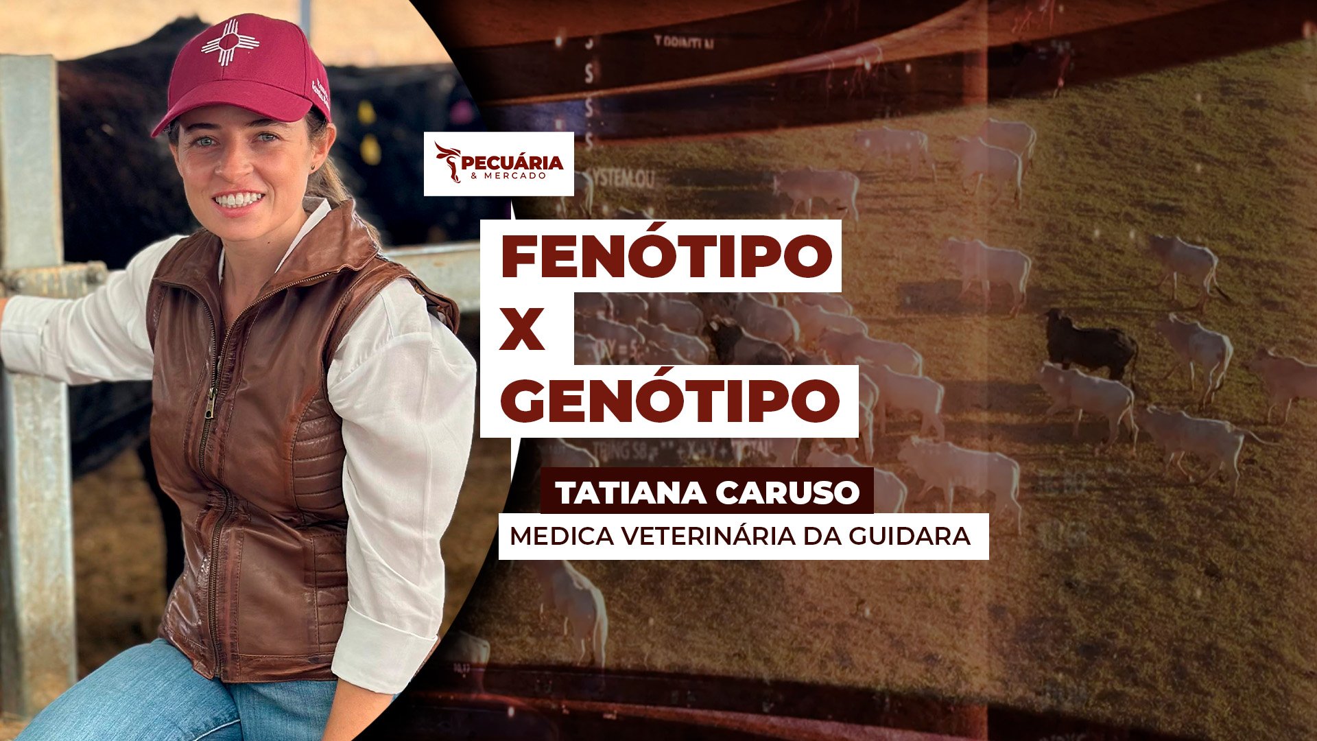 Busca por melhoria genética do rebanho faz aumentar uso de inseminação artificial no Brasil