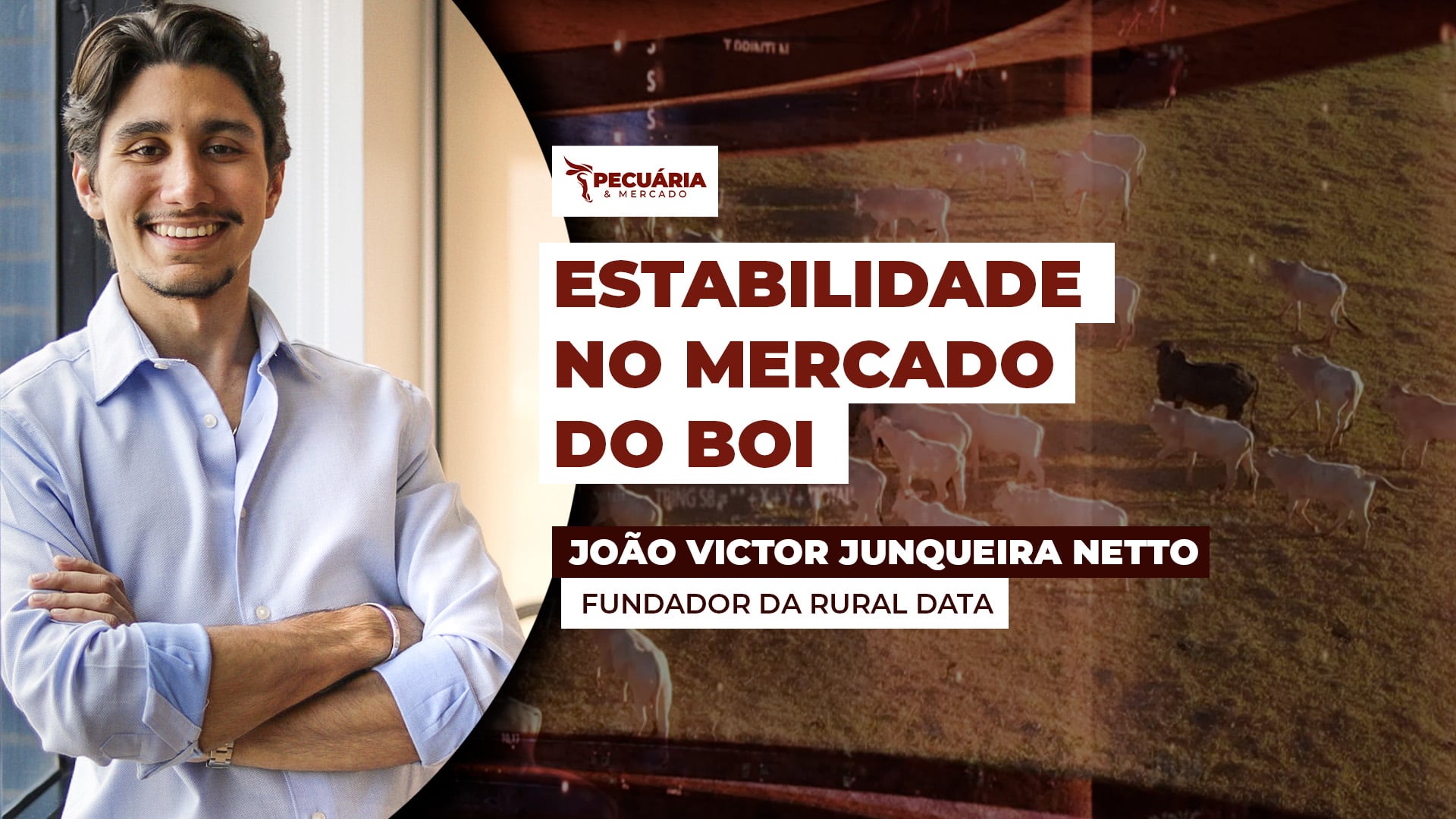 Com grande parte das indústrias em férias coletivas, a estabilidade segue predominando no mercado pecuário