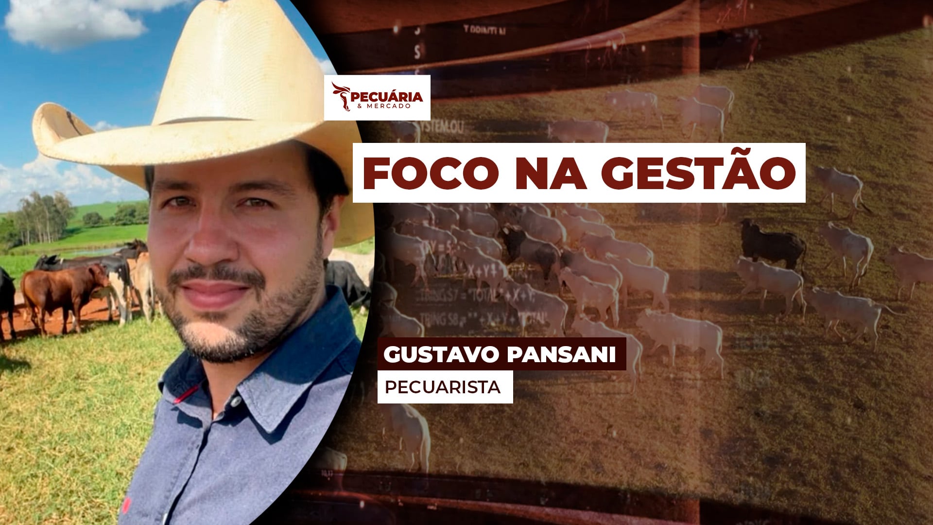 Intensificação da pecuária, com foco na gestão, potencializa resultados numa propriedade de 63 ha no interior de SP