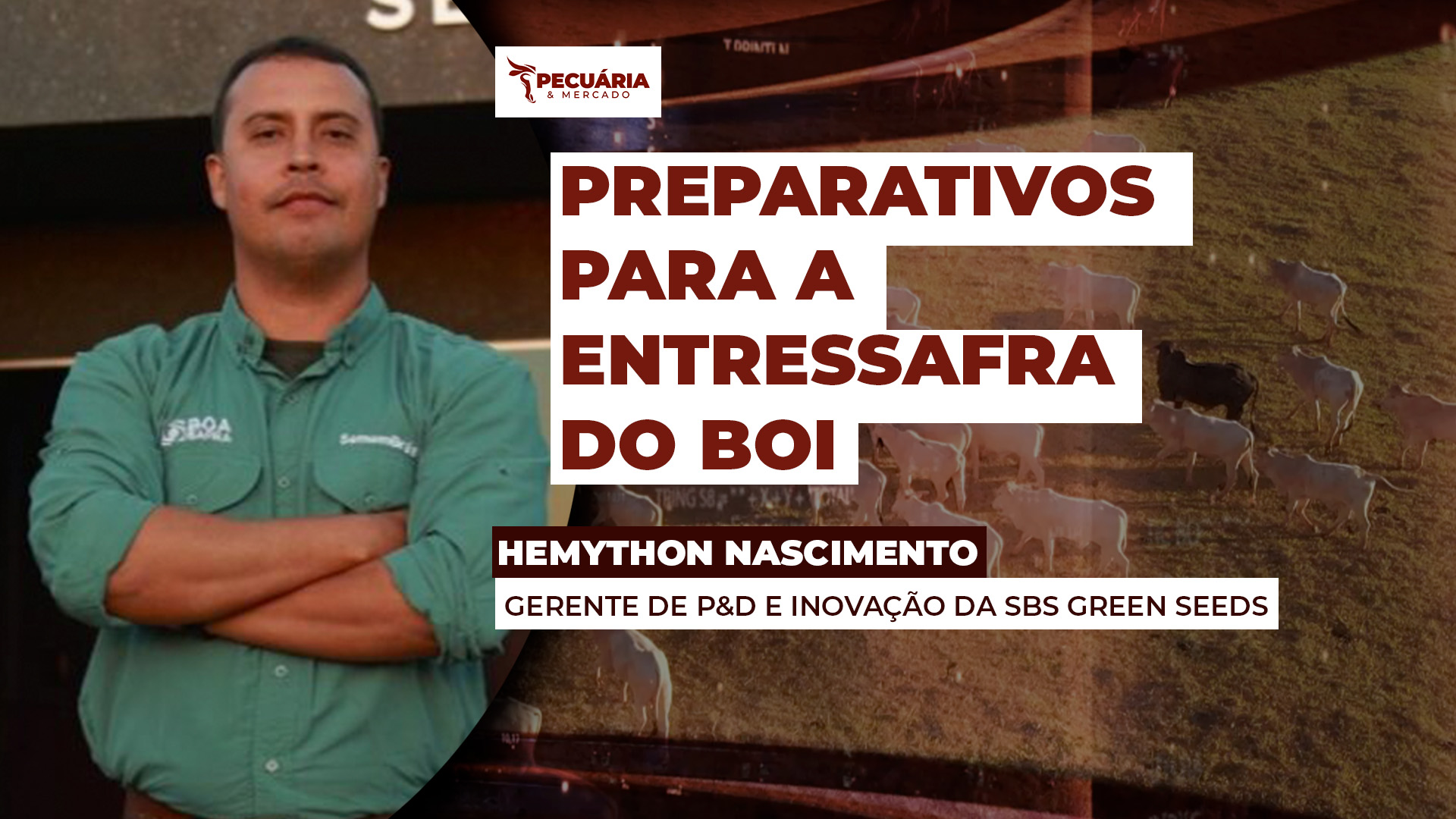 Período seco está chegando, conheça as estratégias para alimentar o gado com menos pasto