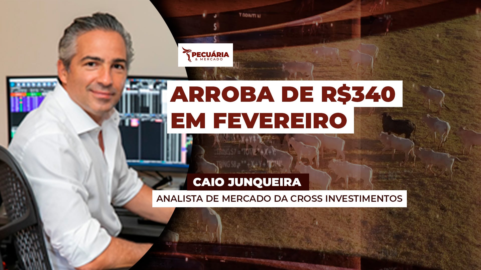 SP já tem negócios pontuais com arroba de R$335 e mercado pode buscar os R$340  em fevereiro, afirma analista