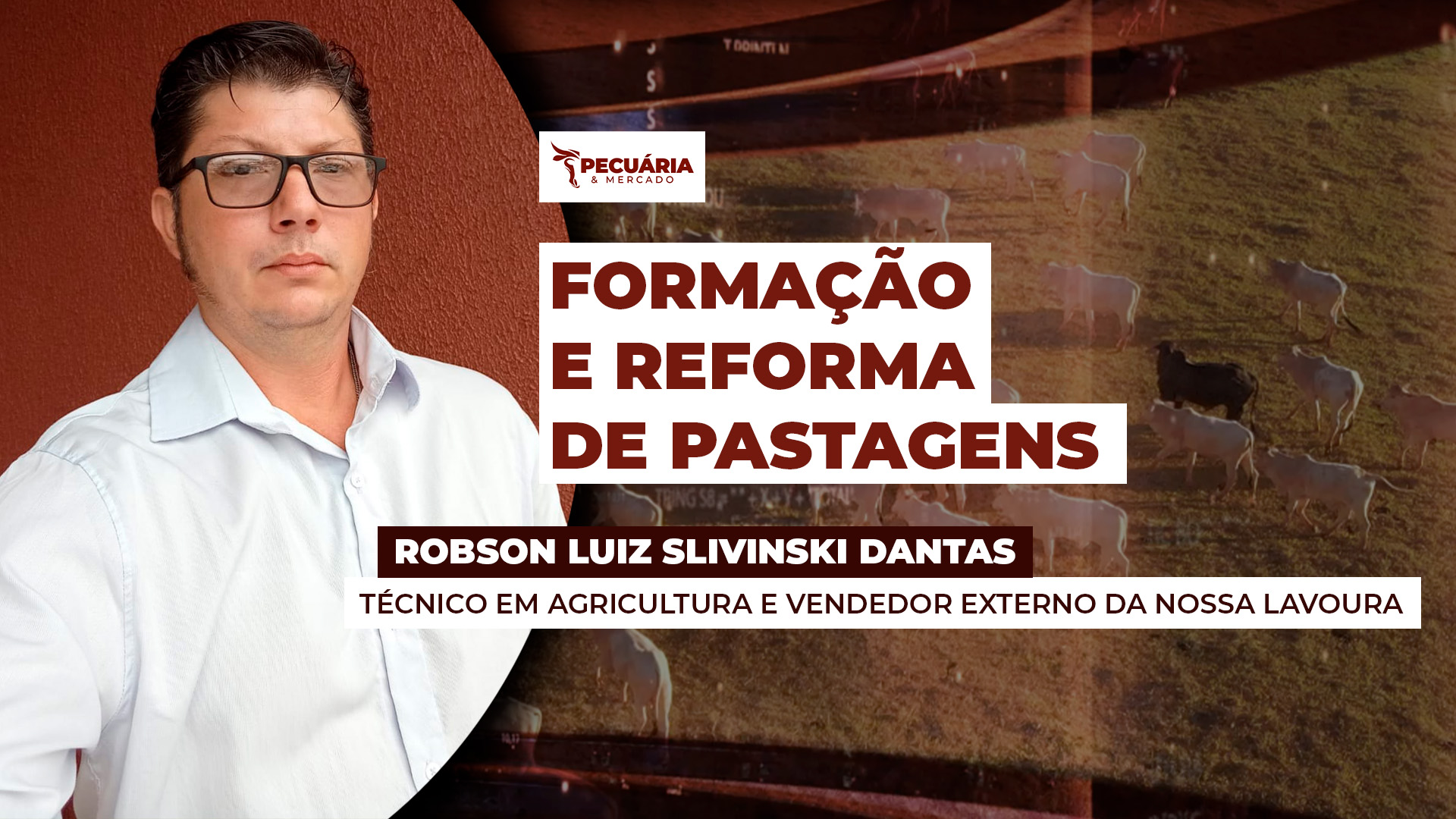 Conheça as técnicas necessárias para renovação eficiente das pastagens