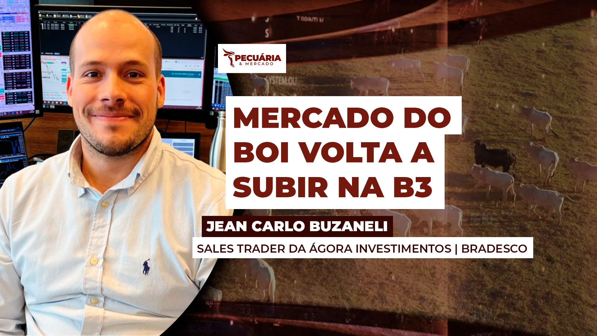 Mercado do boi volta a subir na B3 depois de derreter quase R$15 nas nas últimas semanas