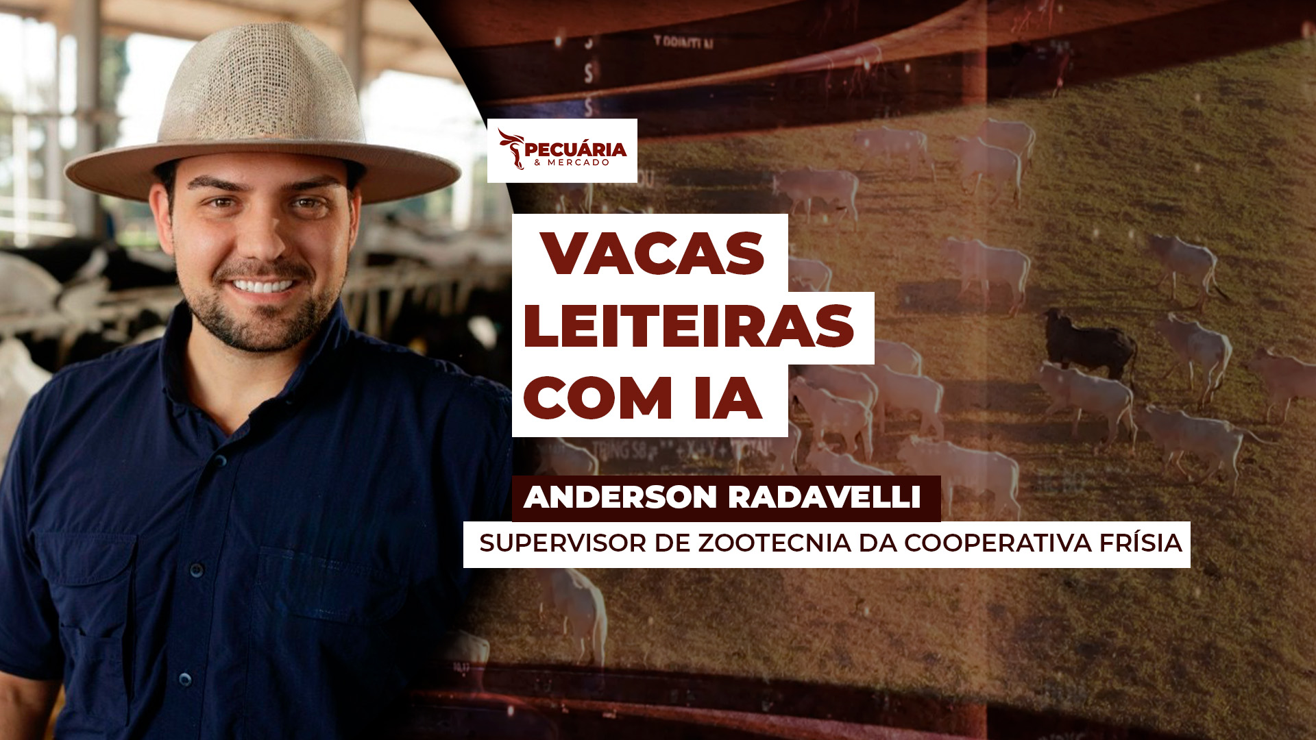 IA no rebanho leiteiro pode atuar em frentes que vão desde a gestão até a melhora da qualidade do leite